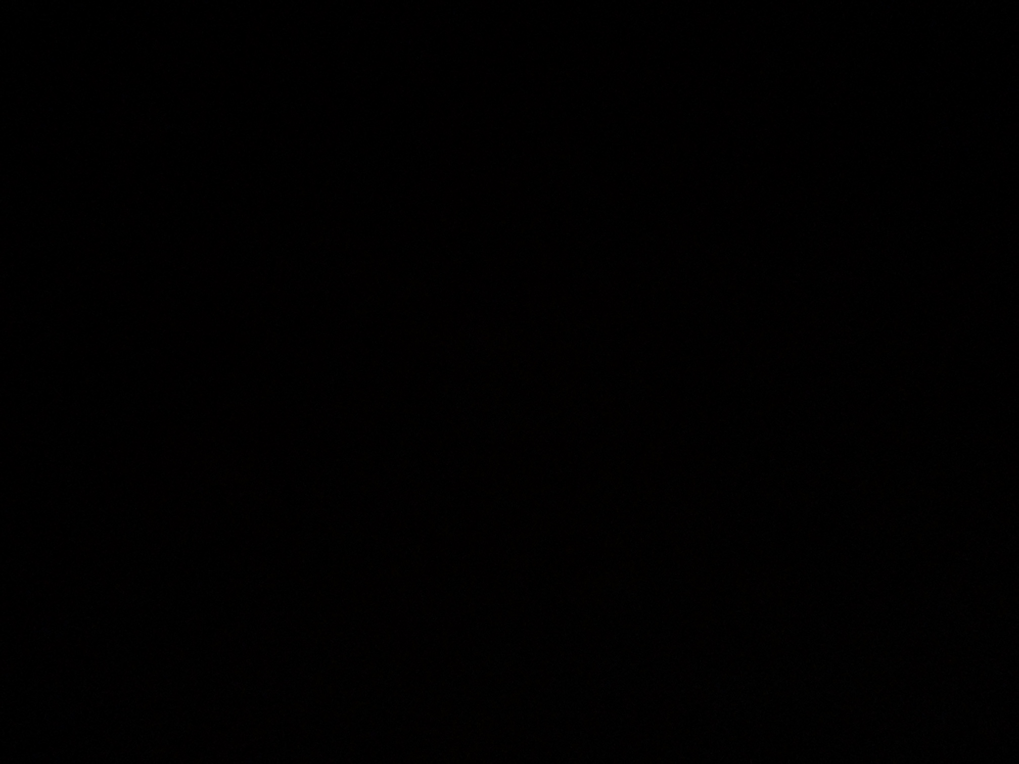 foto_0_1789162657
