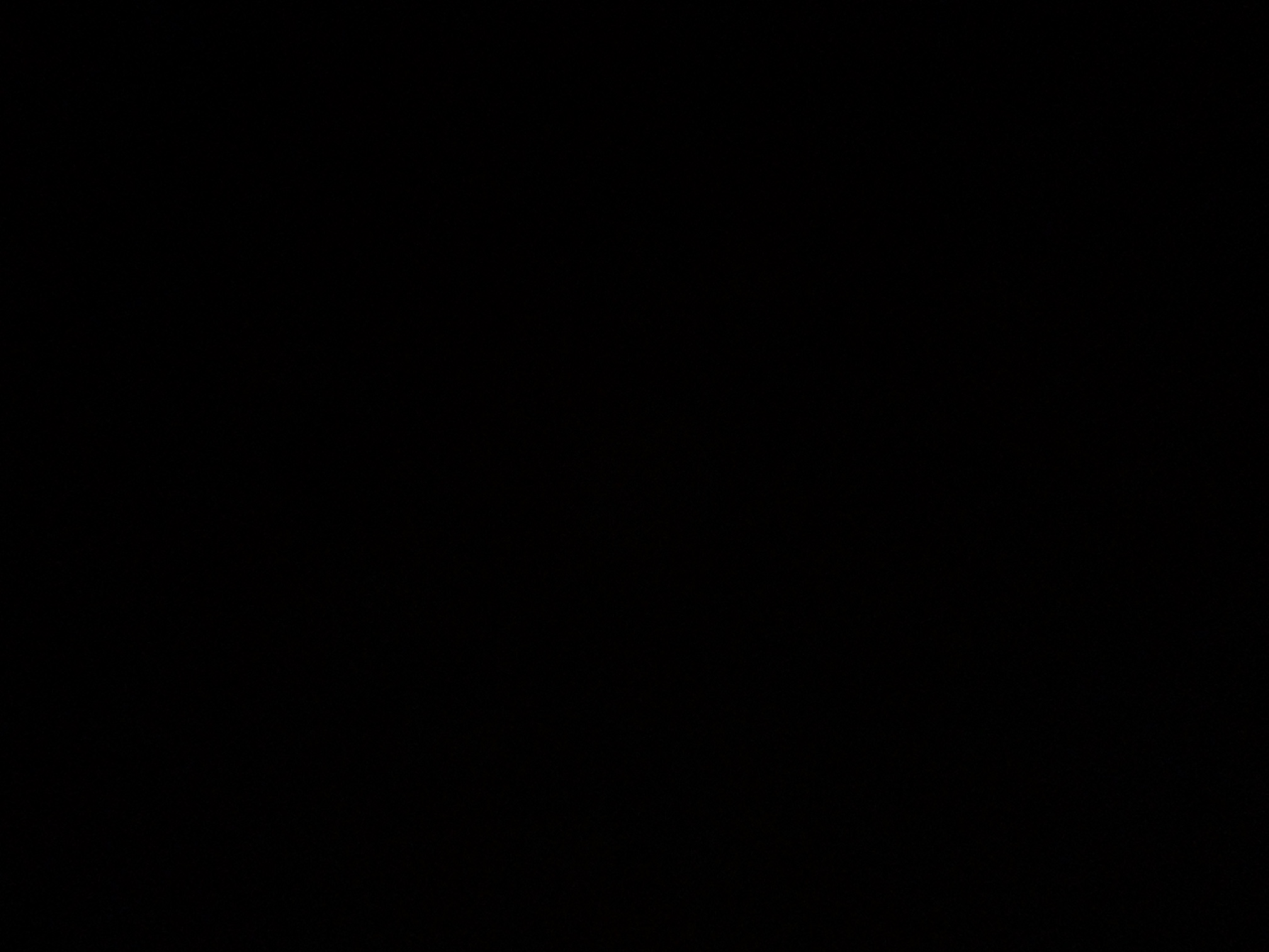 foto_1_1789162657