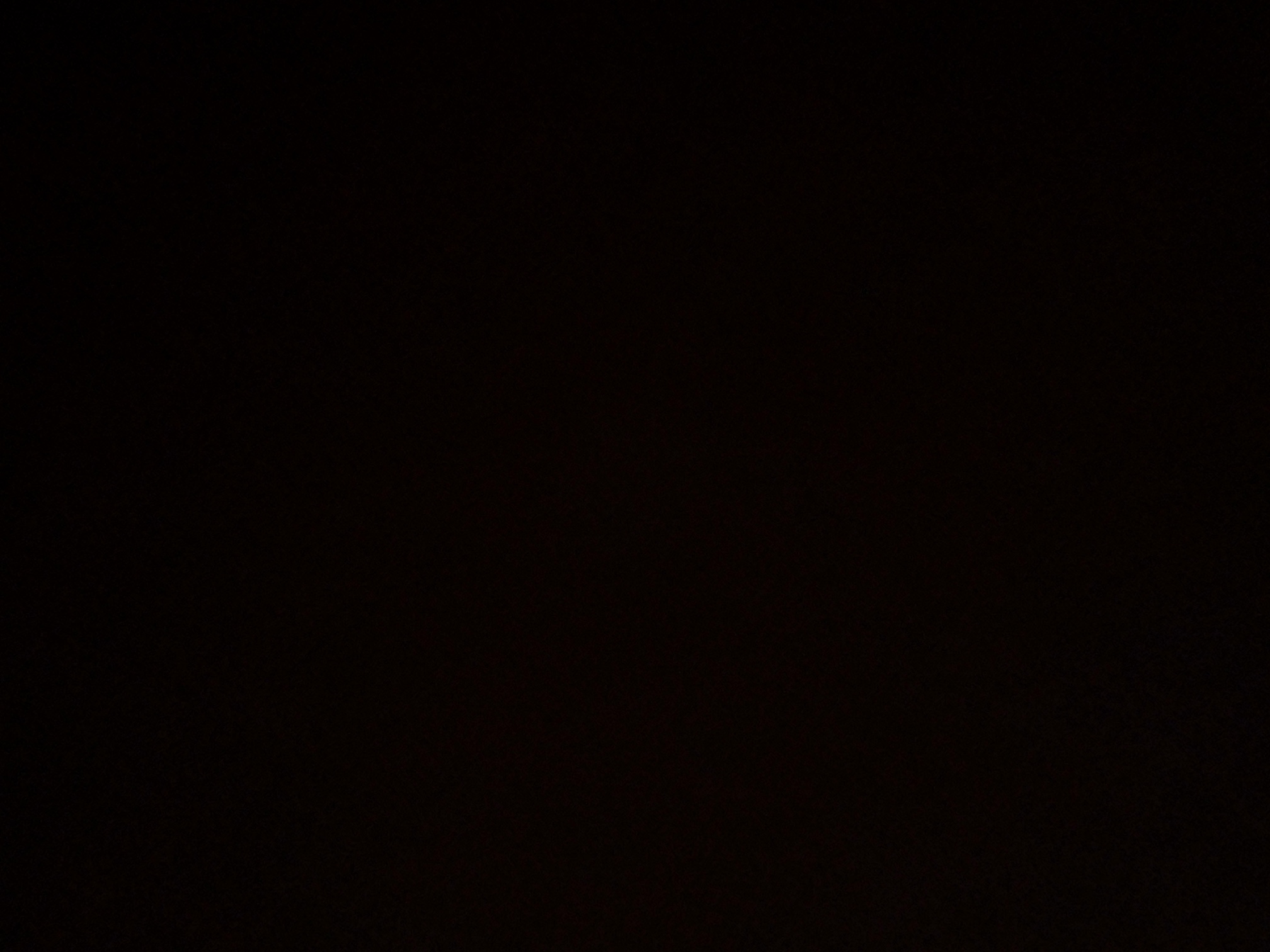 foto_2_1789163384