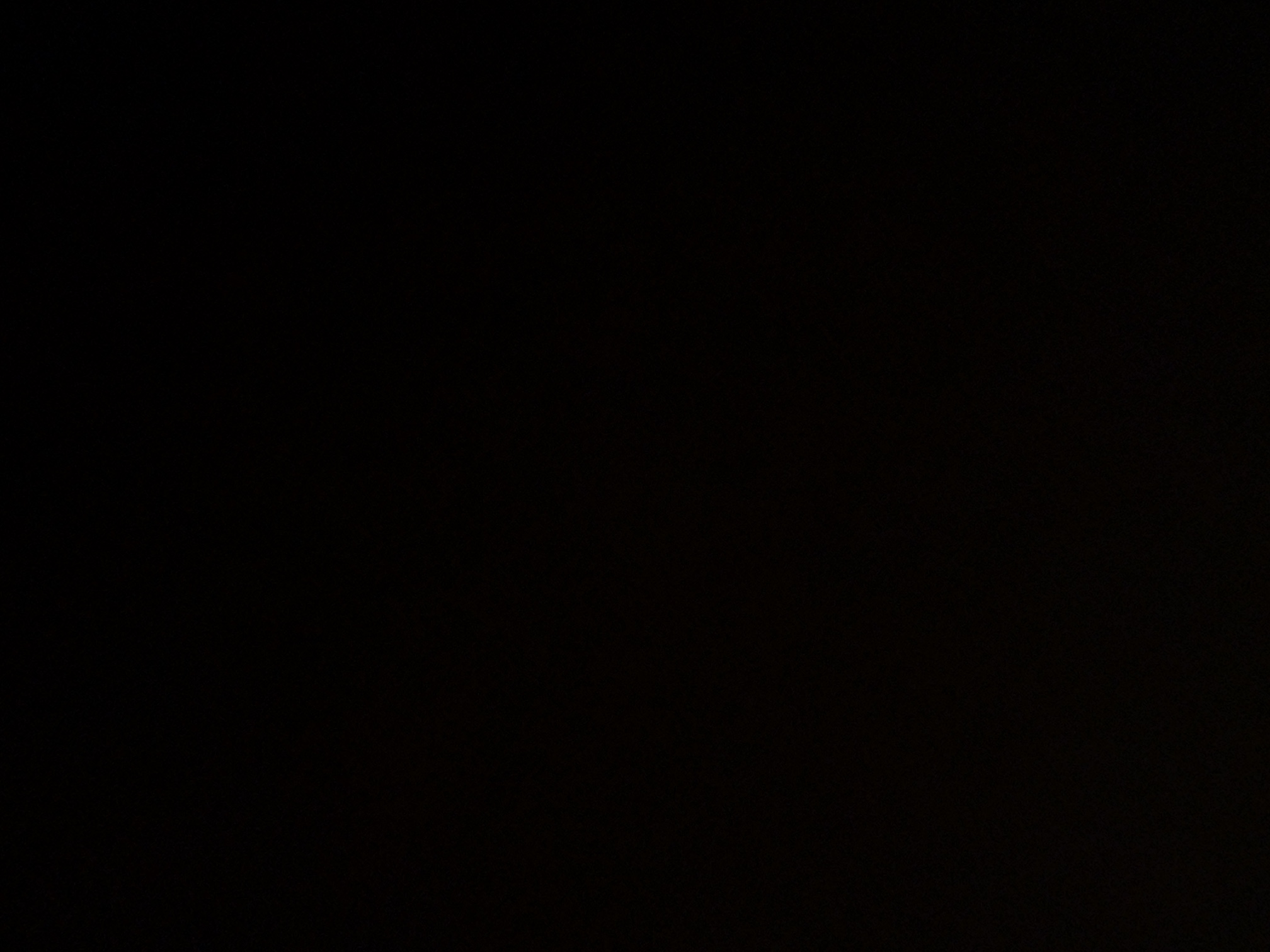 foto_2_1789166294