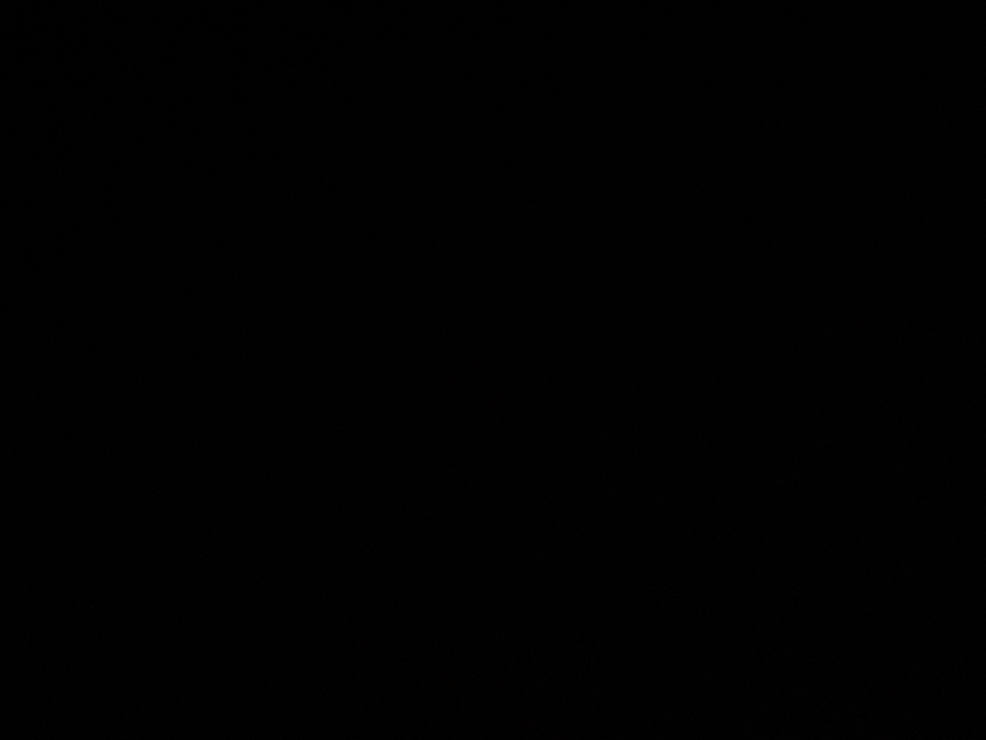 foto_0_1789411921
