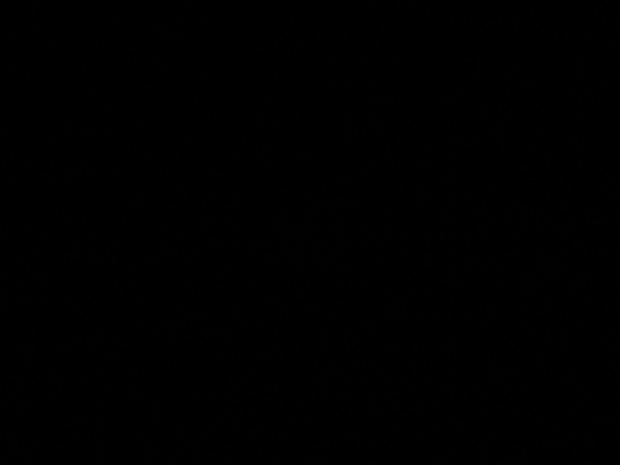 foto_0_1790319866