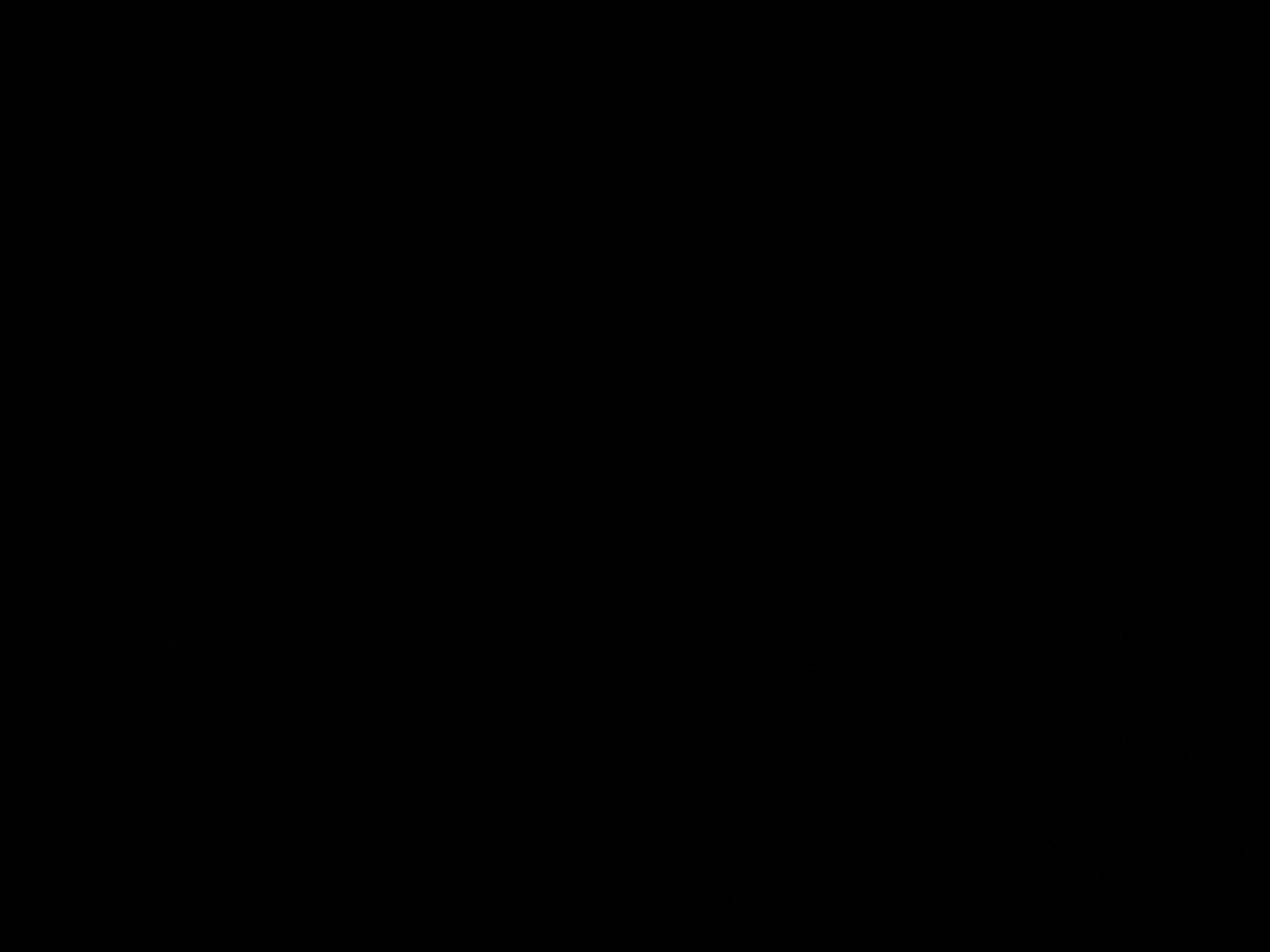 foto_0_1790381542