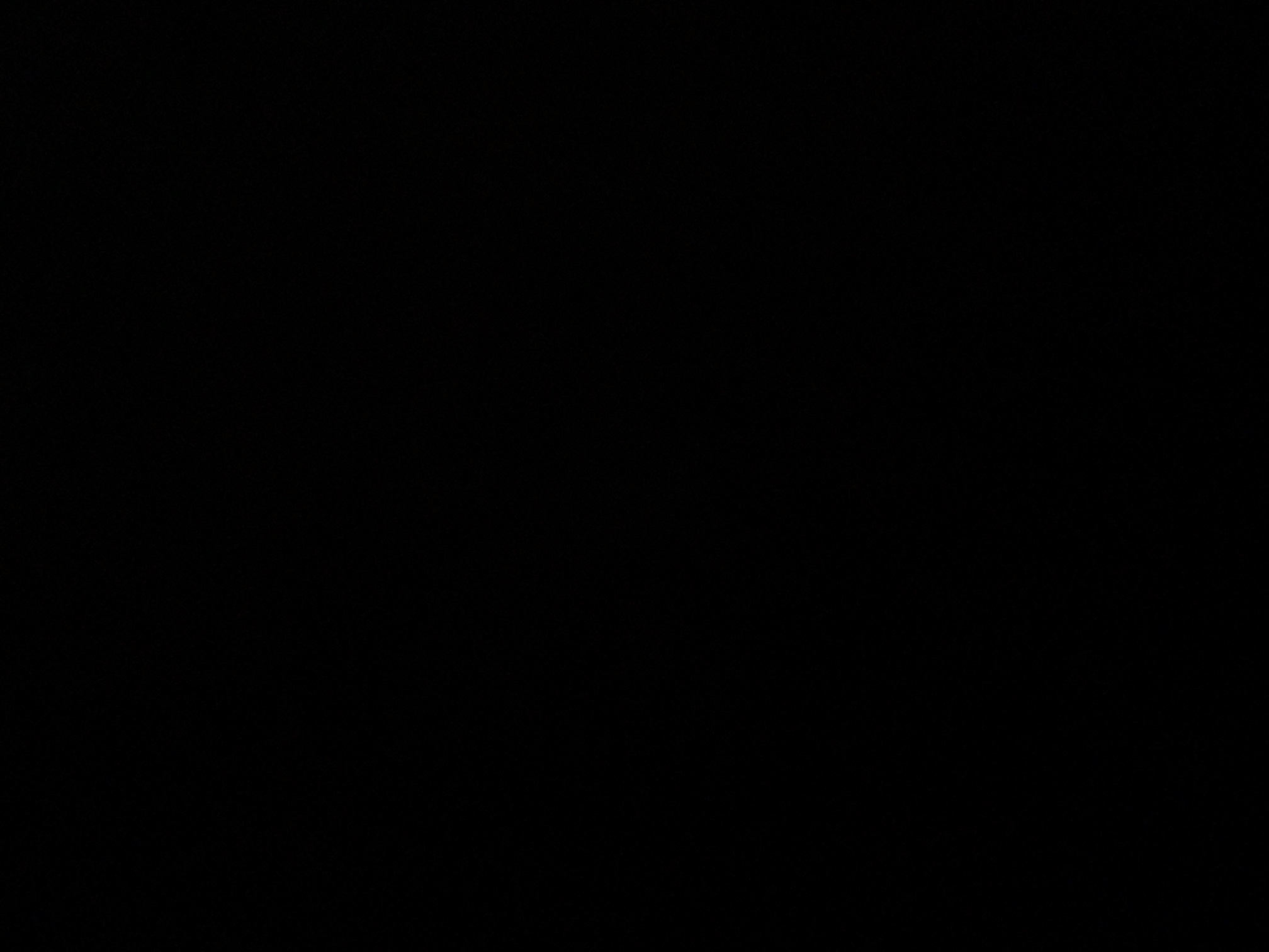 foto_1_1789411237