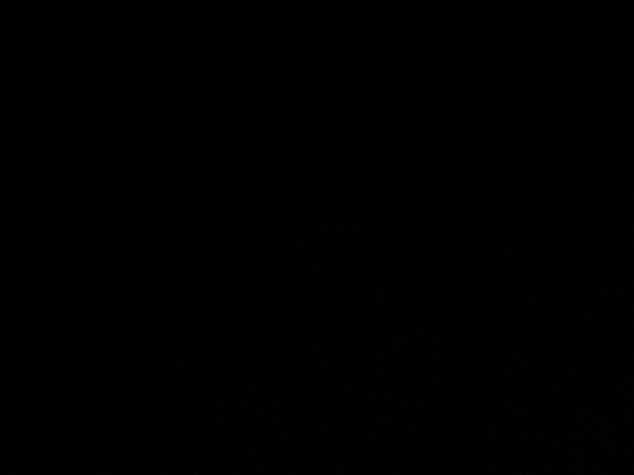 foto_1_1789411921