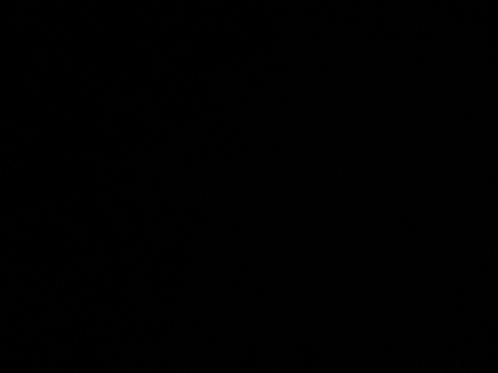 foto_1_1789855312