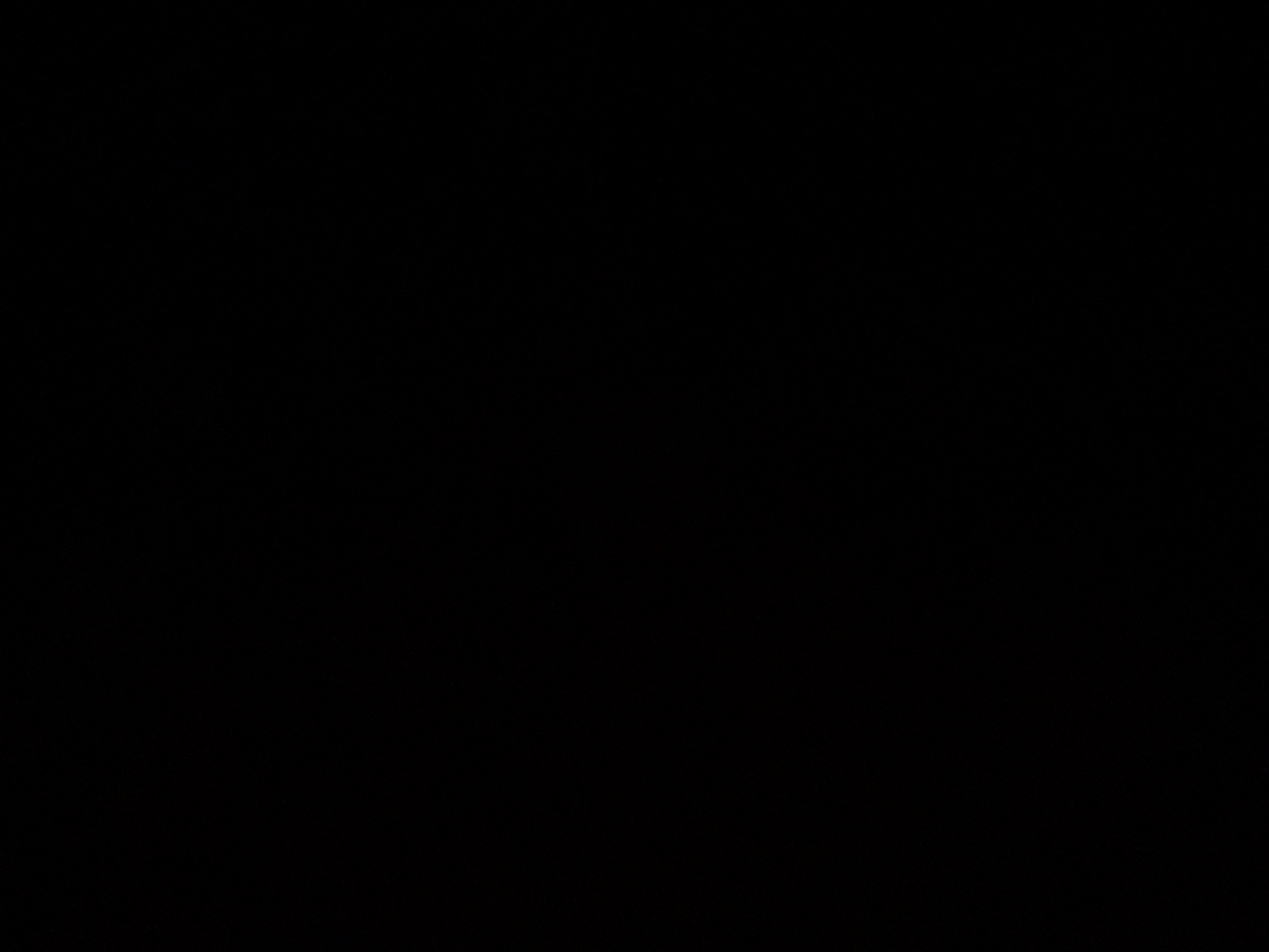 foto_1_1790019153