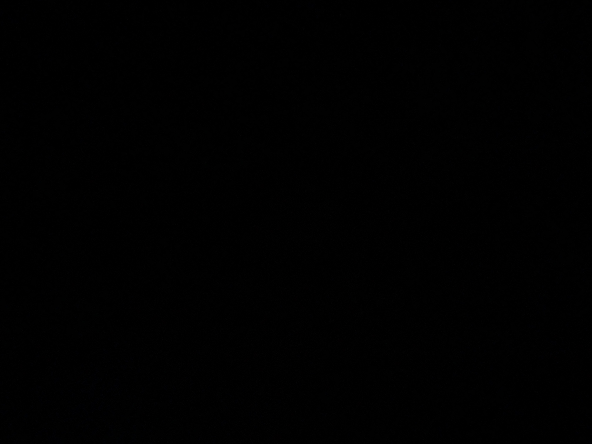 foto_1_1790024039