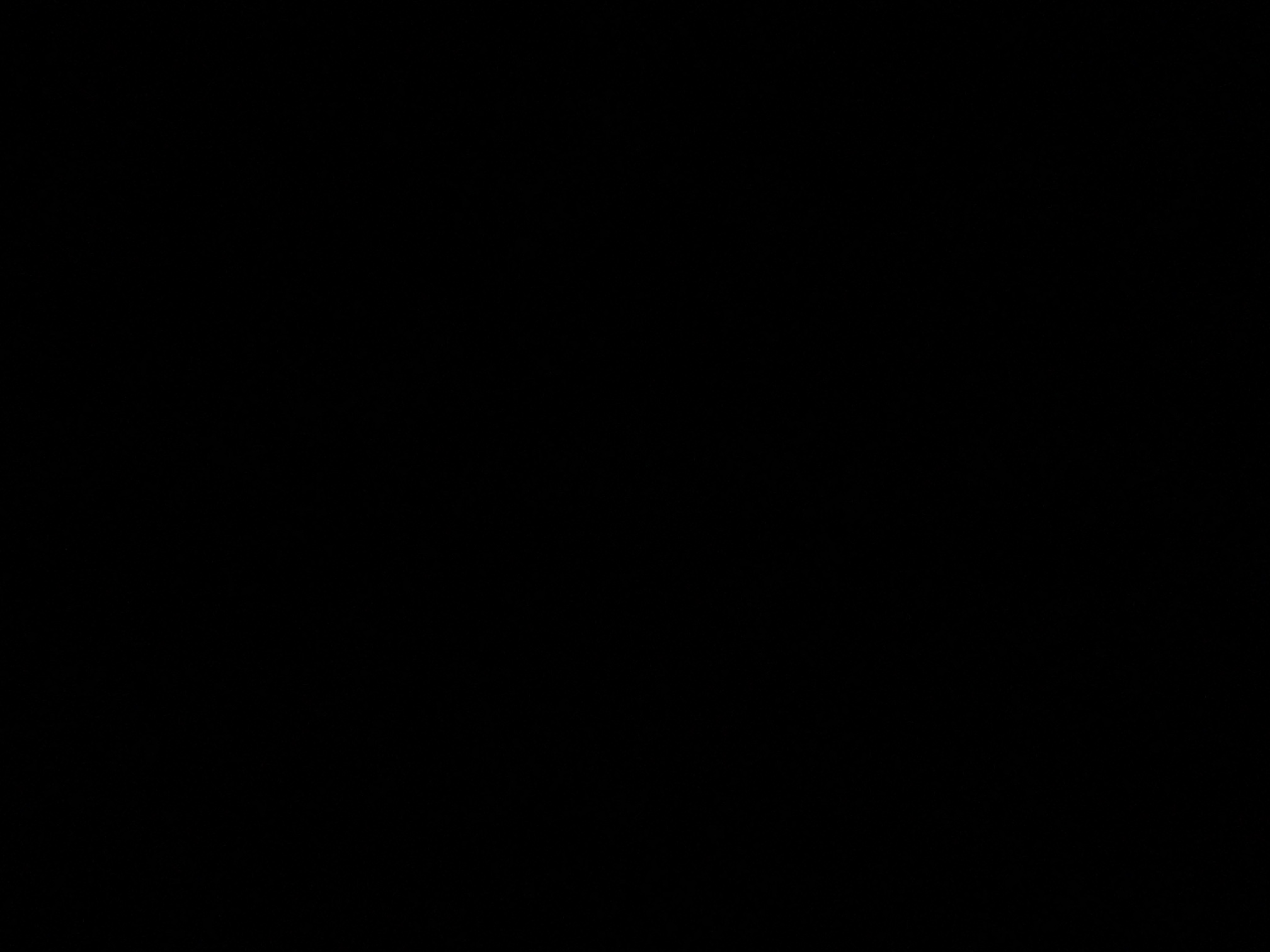 foto_1_1790320711