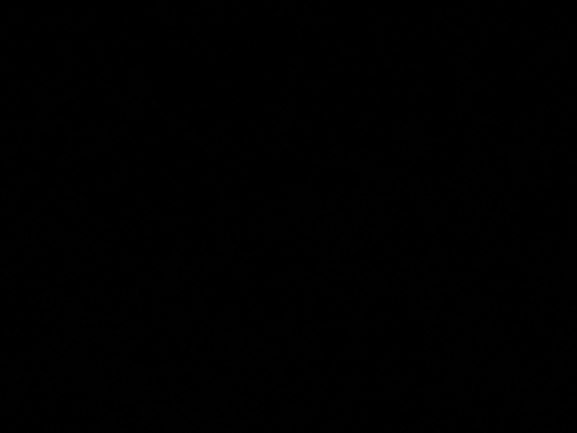 foto_1_1790321096