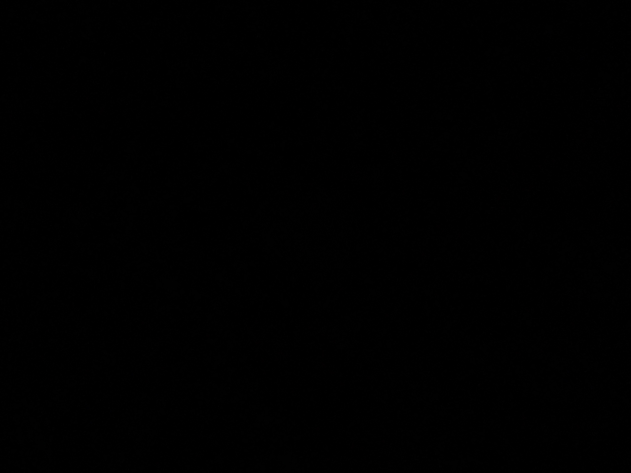 foto_1_1790321420
