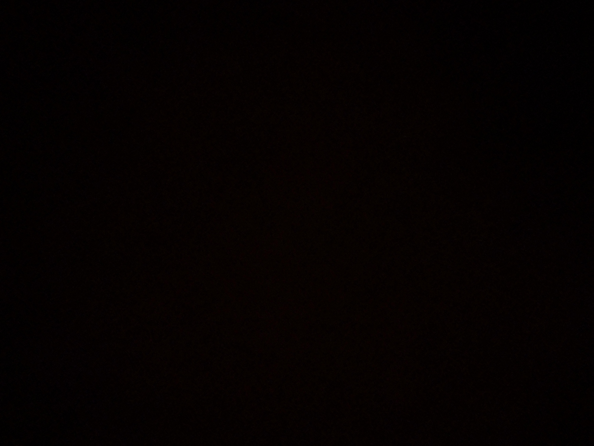 foto_1_1790361821