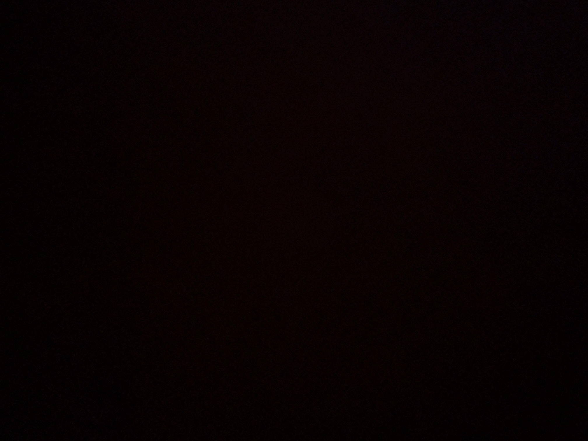 foto_1_1790364624