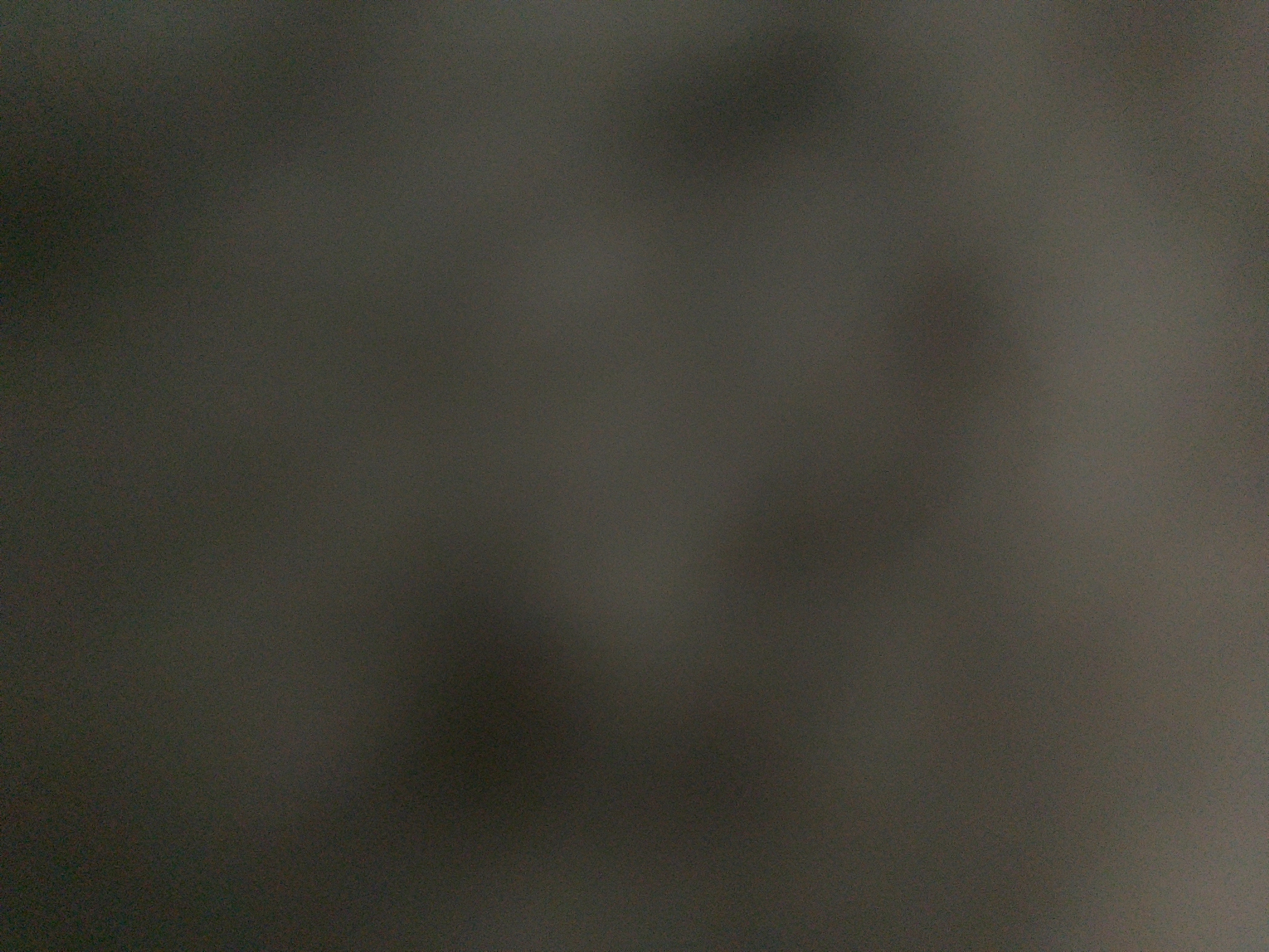 foto_1_1790370801