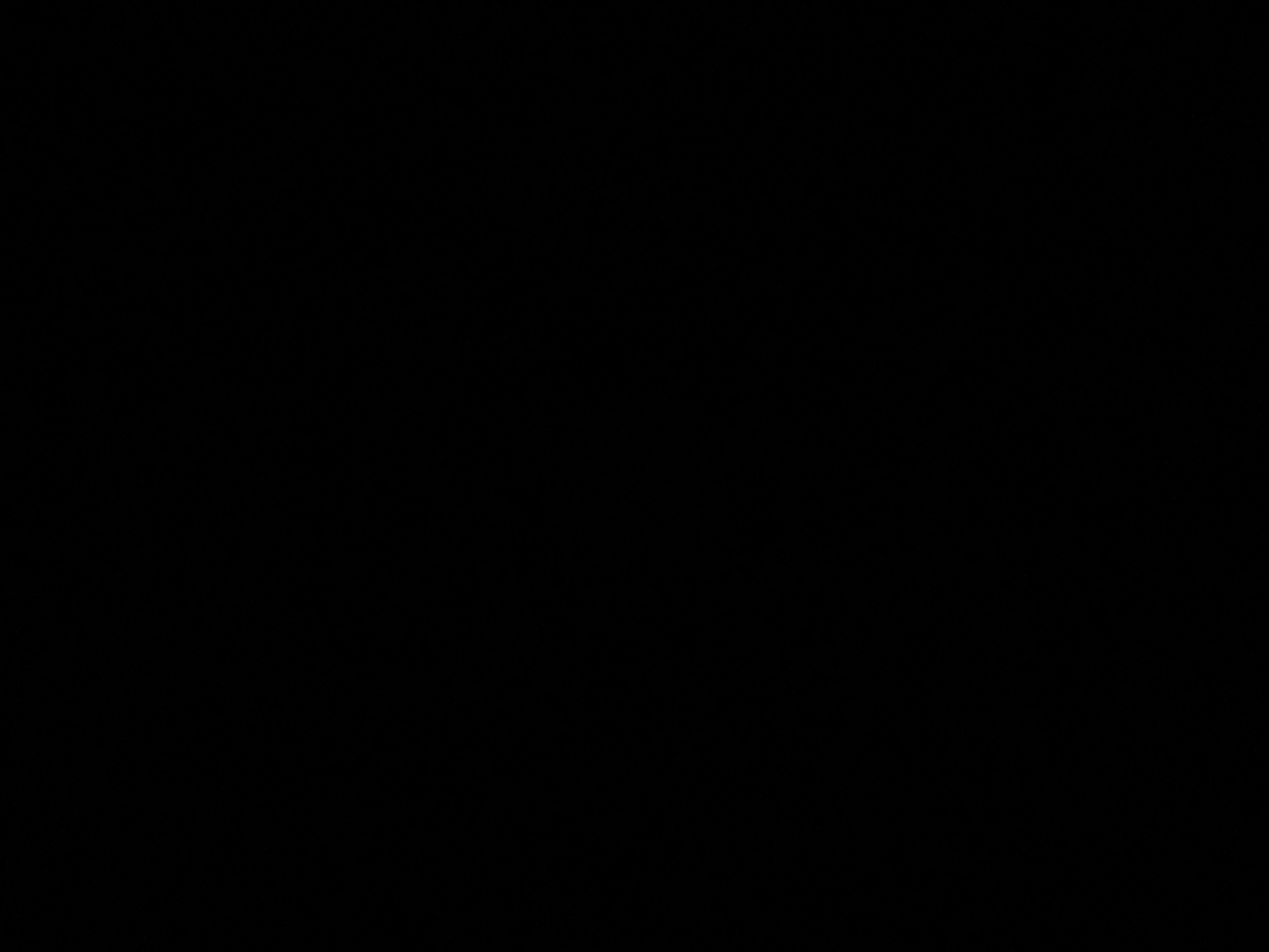 foto_1_1790372711