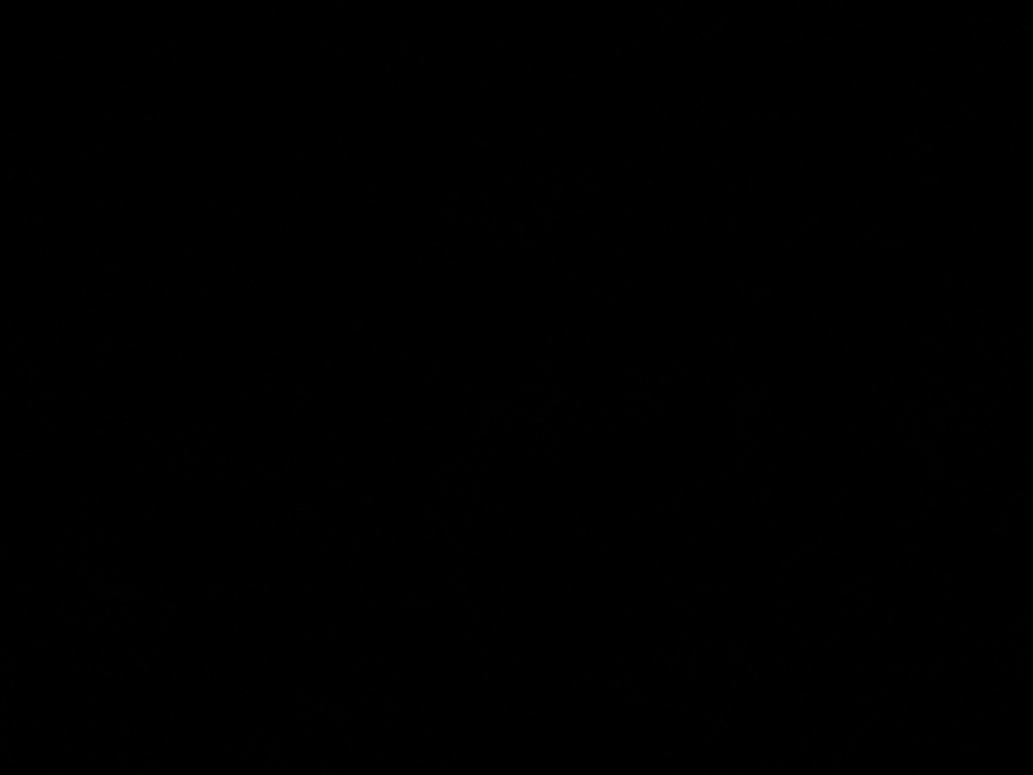 foto_1_1790376716