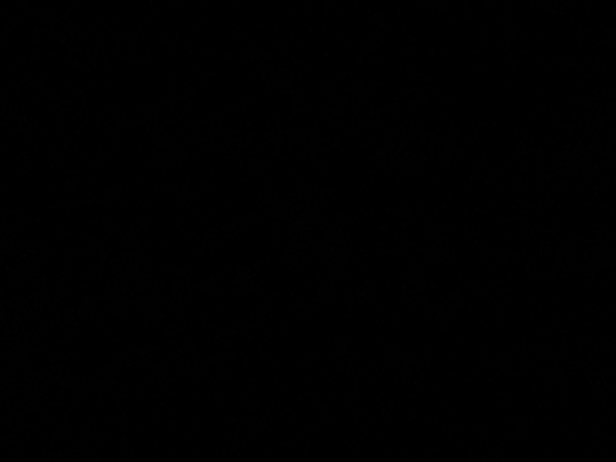 foto_1_1790377907