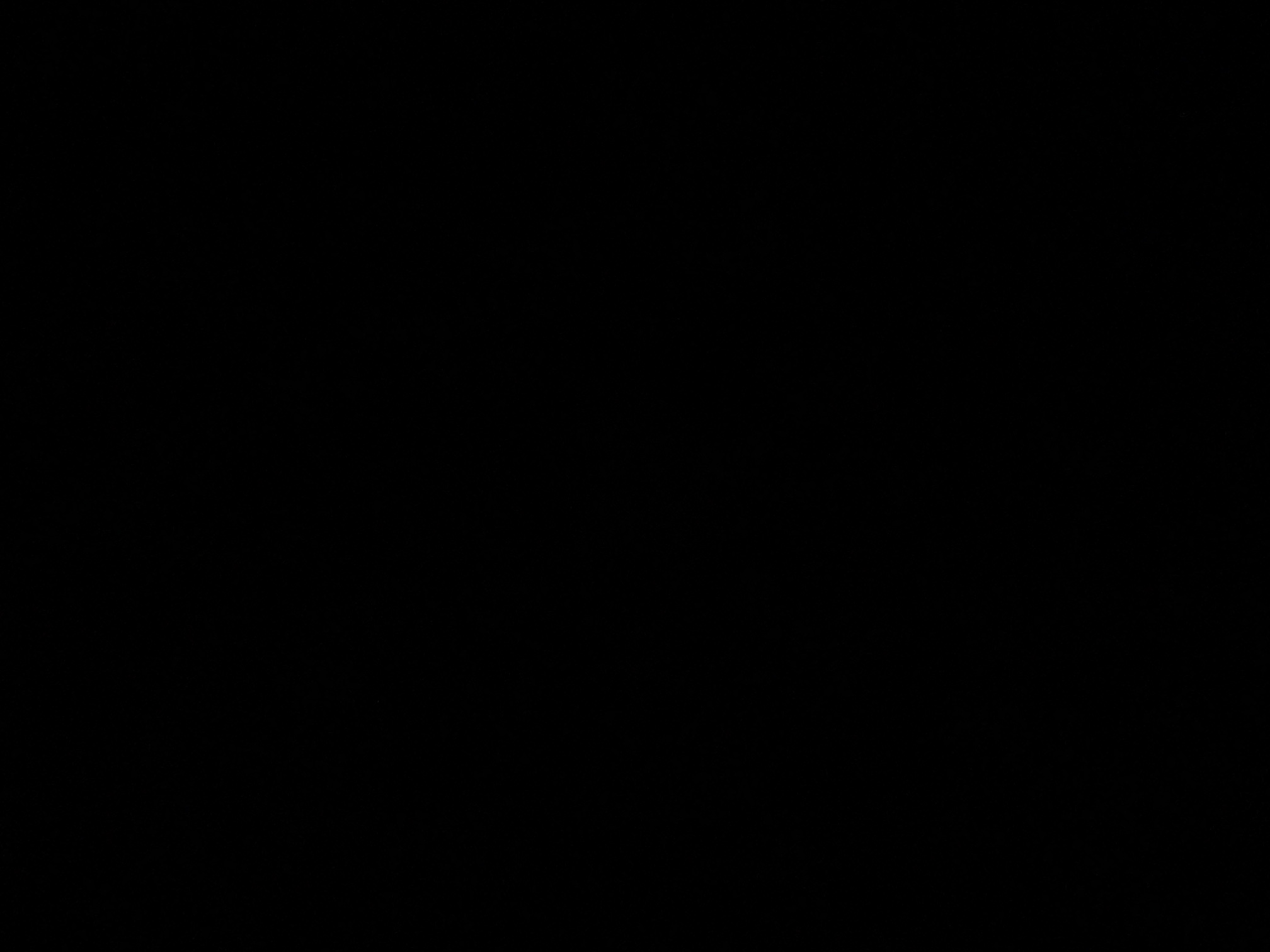 foto_1_1790380419
