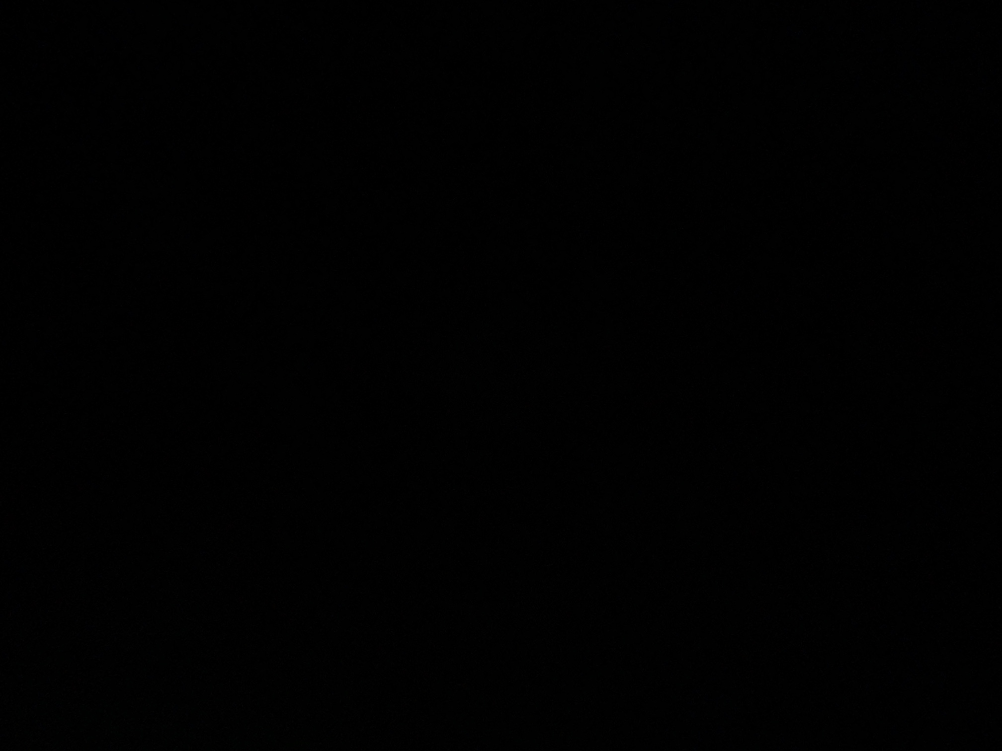 foto_1_1791080715
