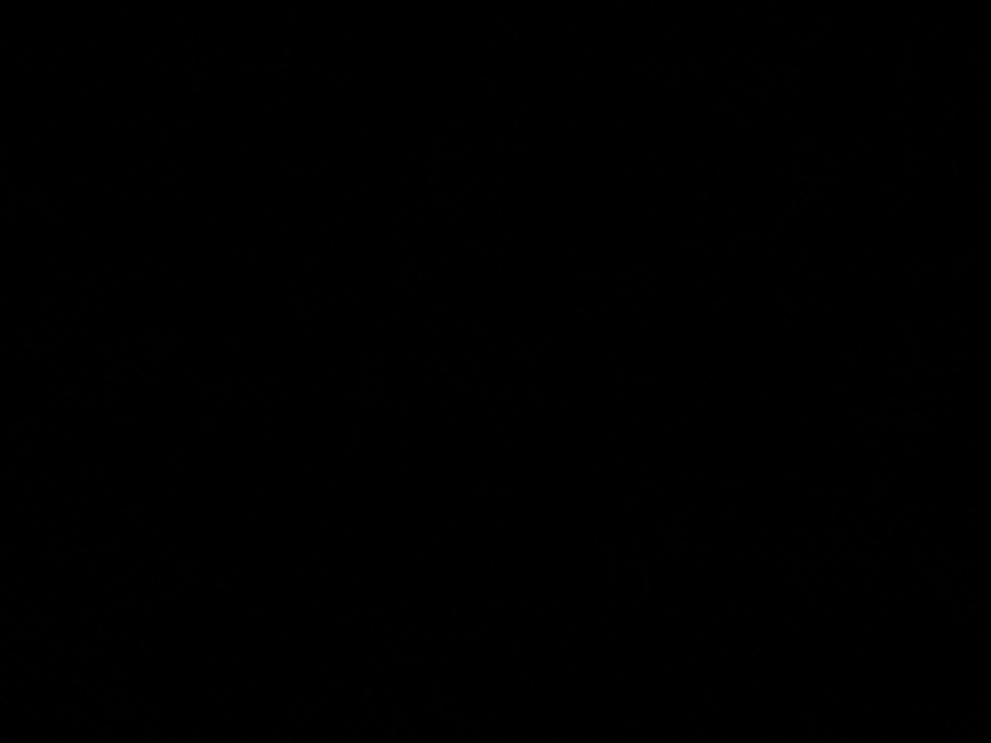 foto_1_1791081968