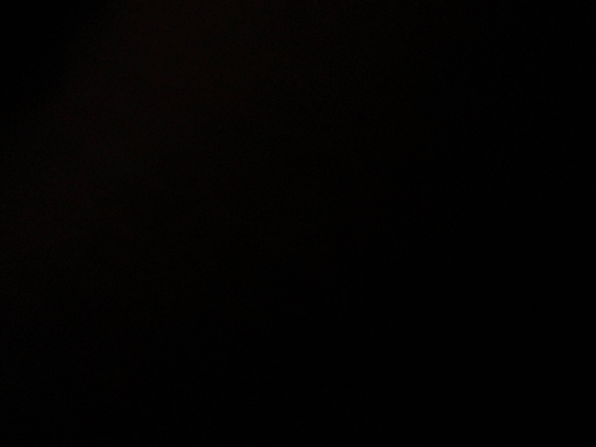 foto_1_1791185734