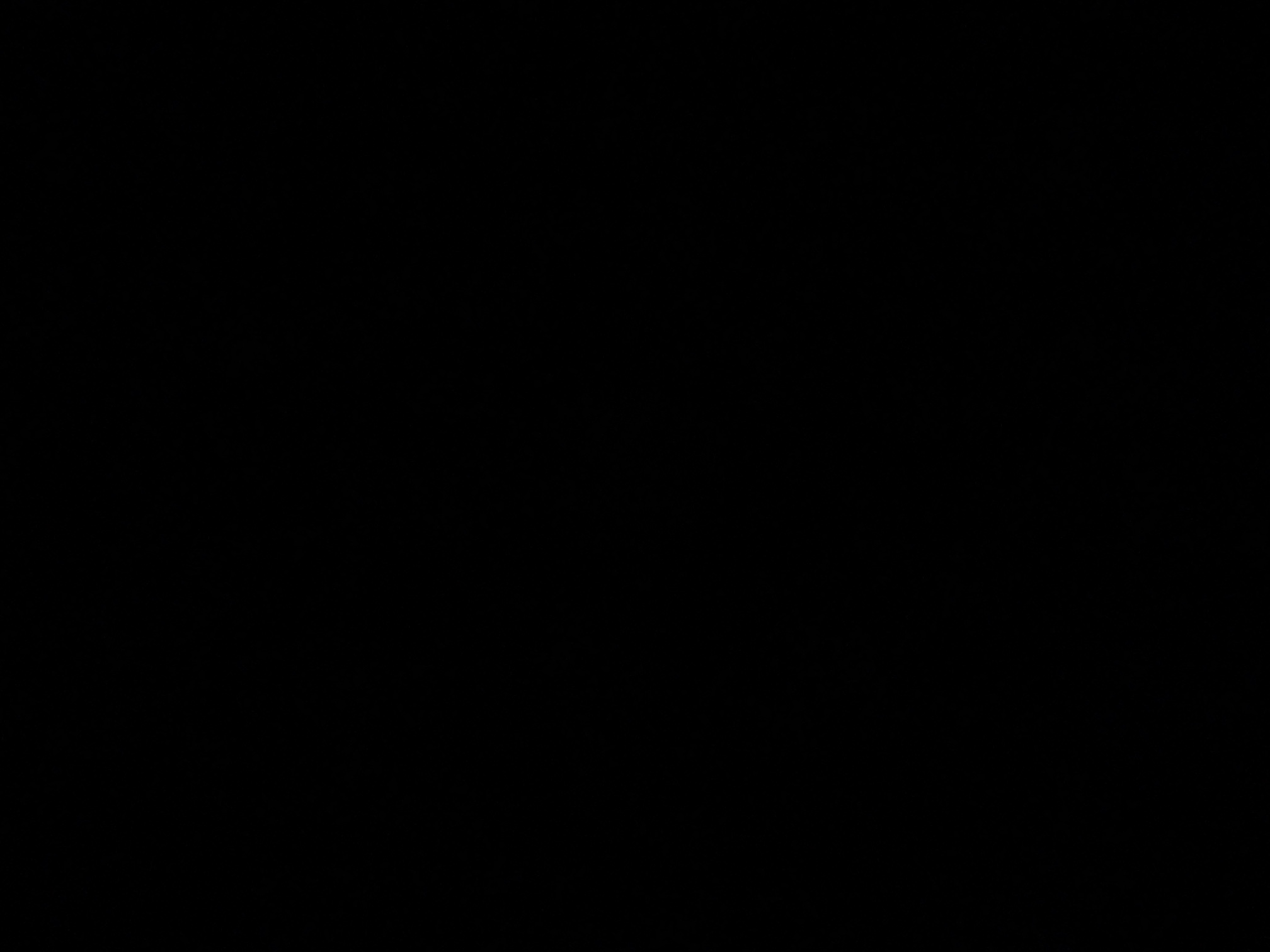 foto_1_1791235105