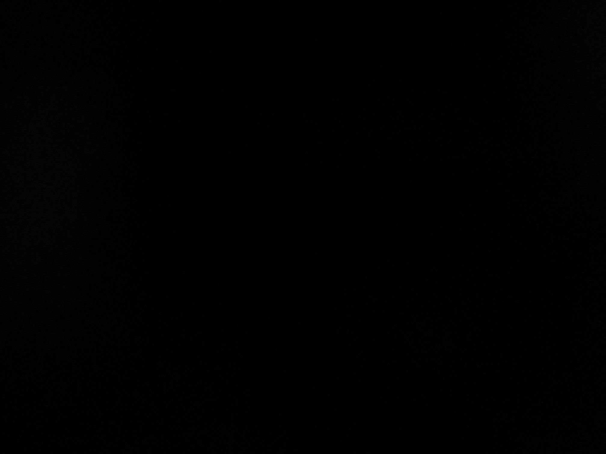 foto_1_1792360473