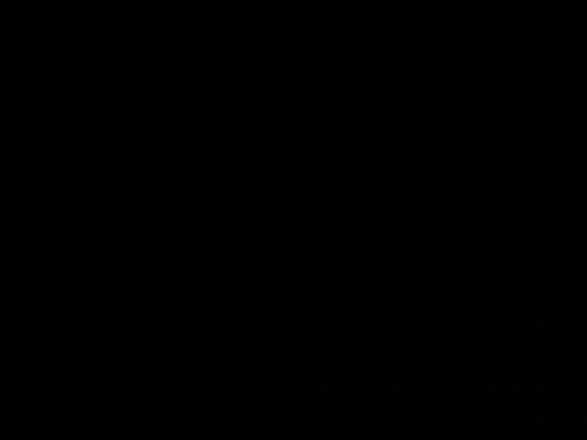 foto_2_1789411921