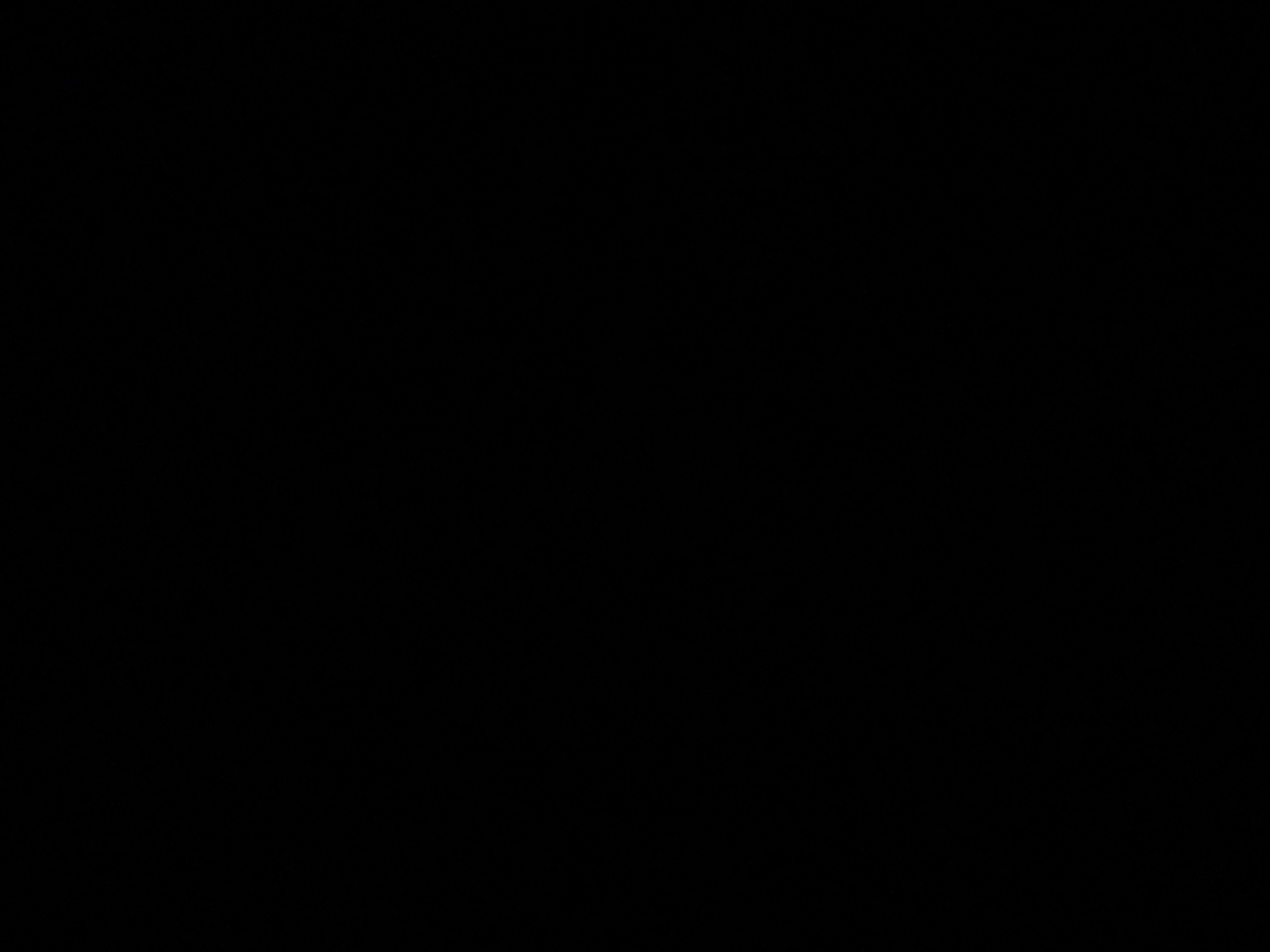 foto_2_1789963026