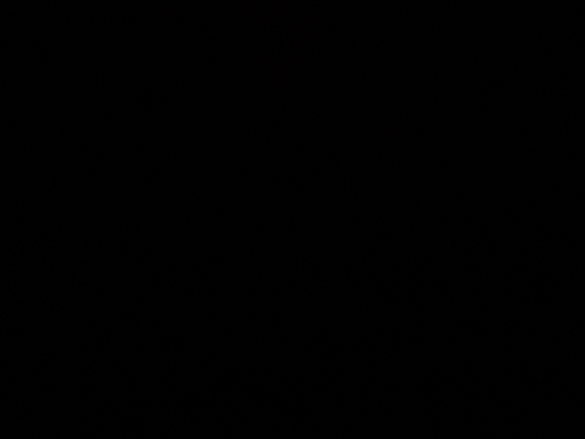 foto_2_1790018613