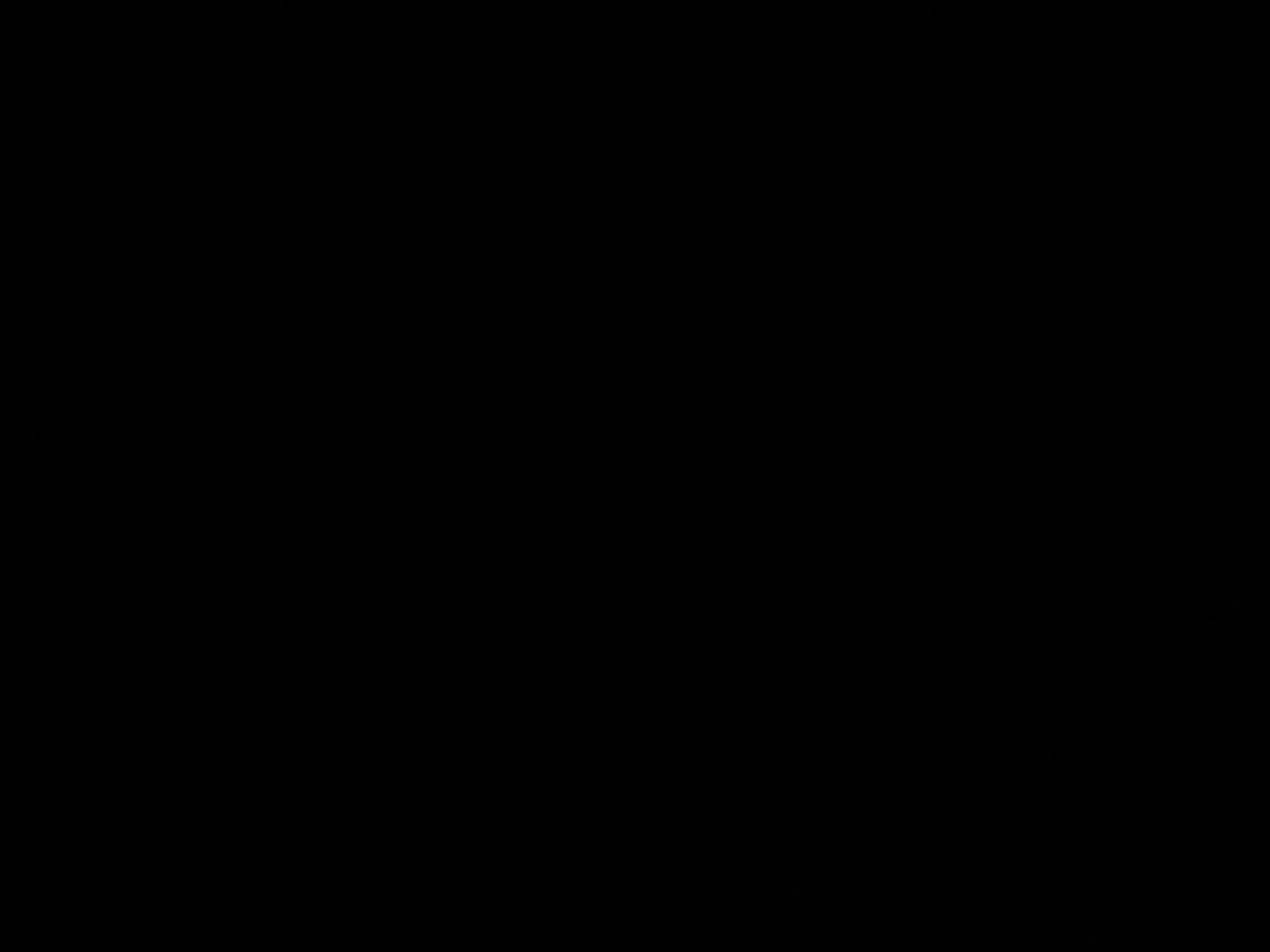 foto_2_1790019998
