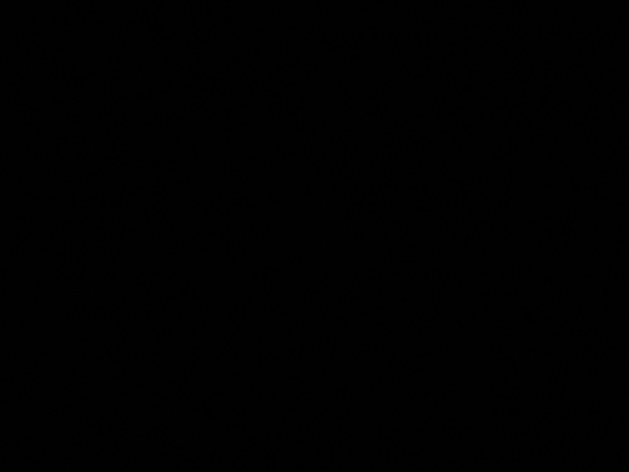 foto_2_1790044540