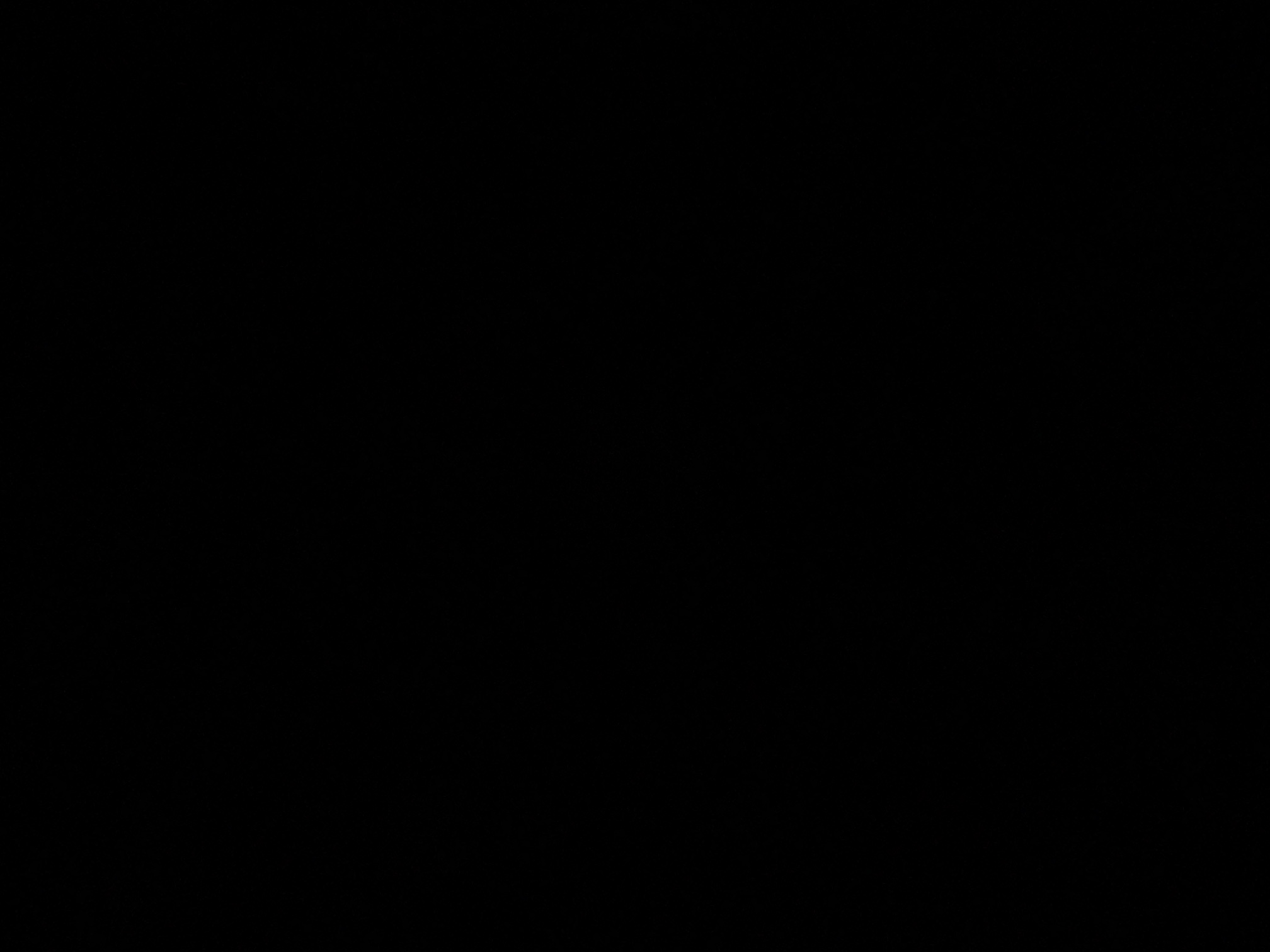 foto_2_1790320711
