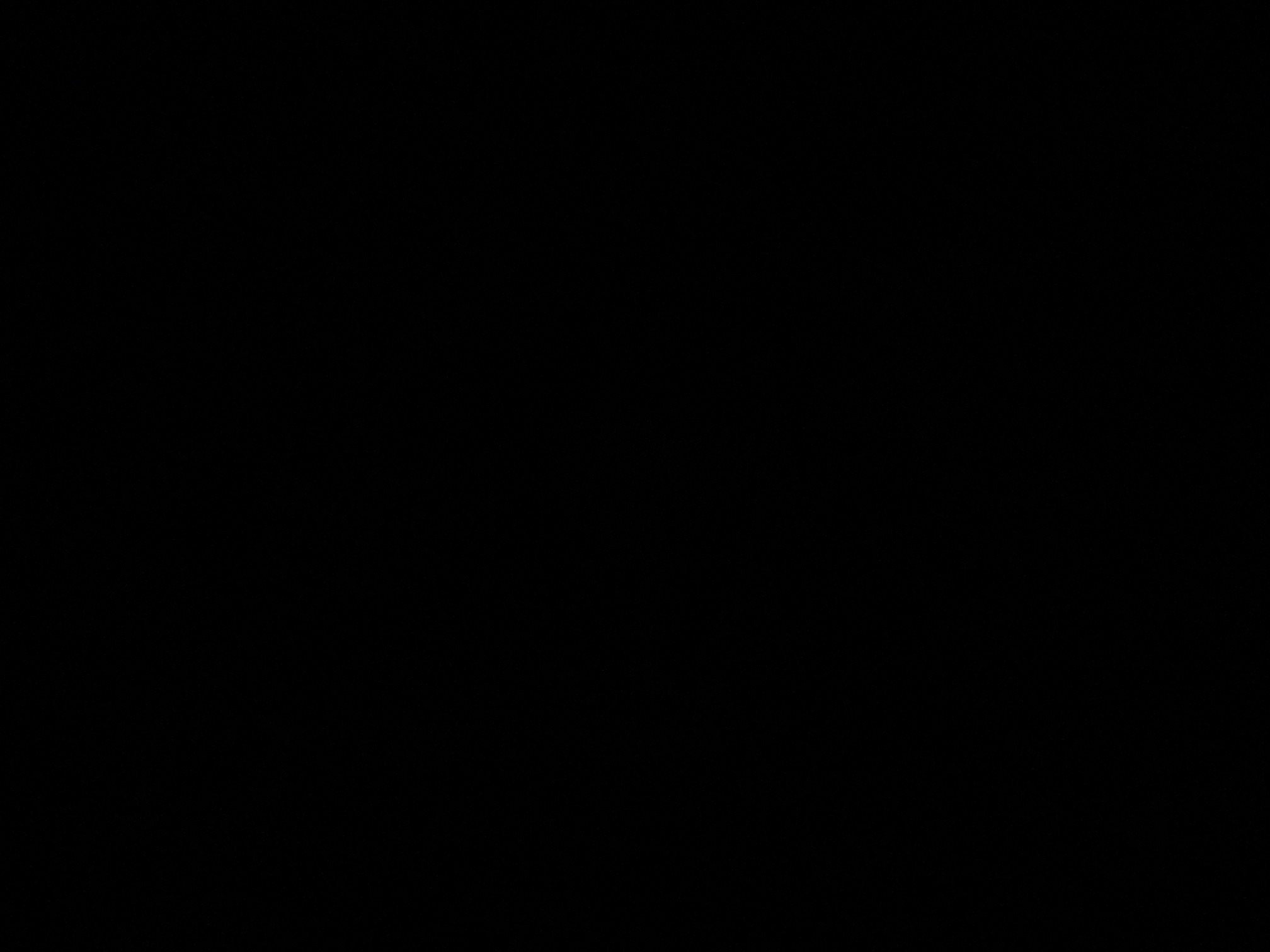 foto_2_1790321420