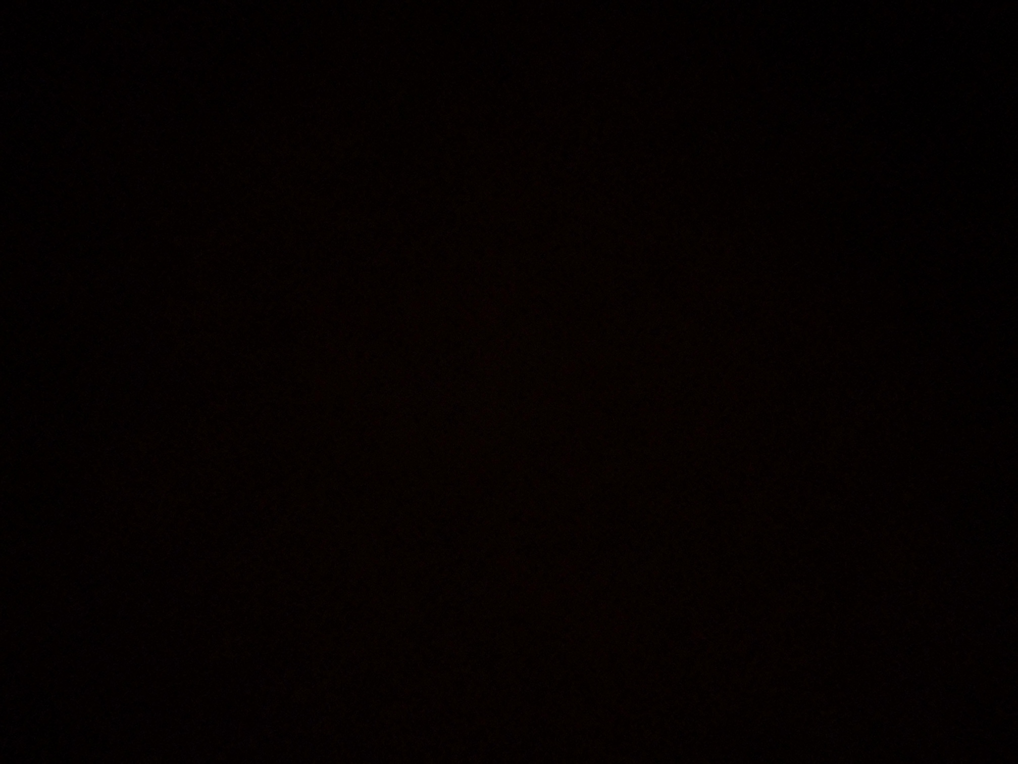 foto_2_1790361821
