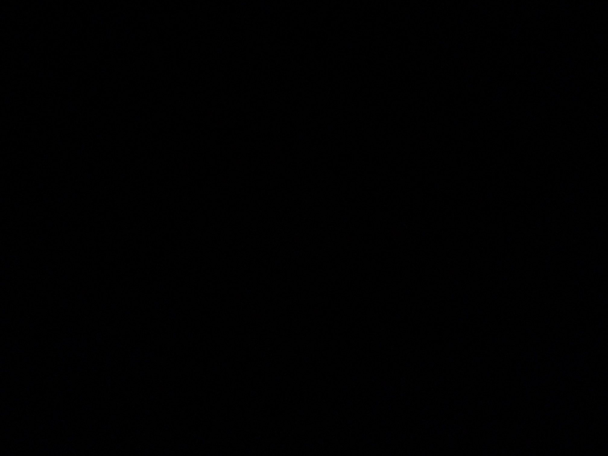 foto_2_1790363040