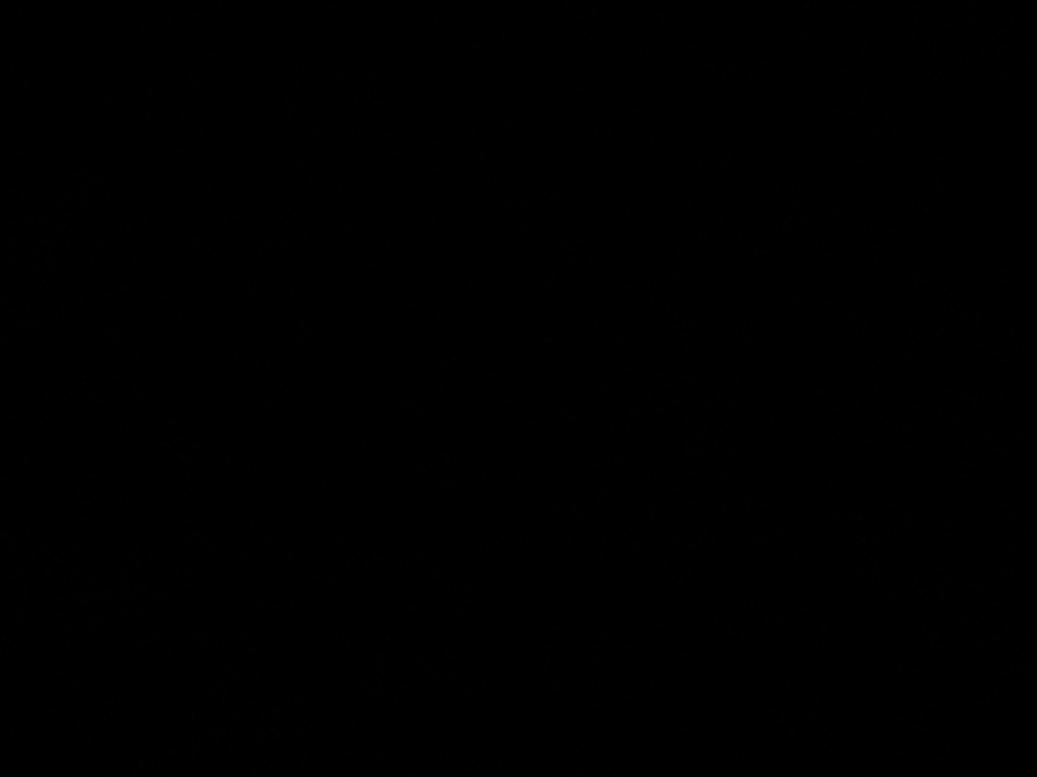 foto_2_1790380419