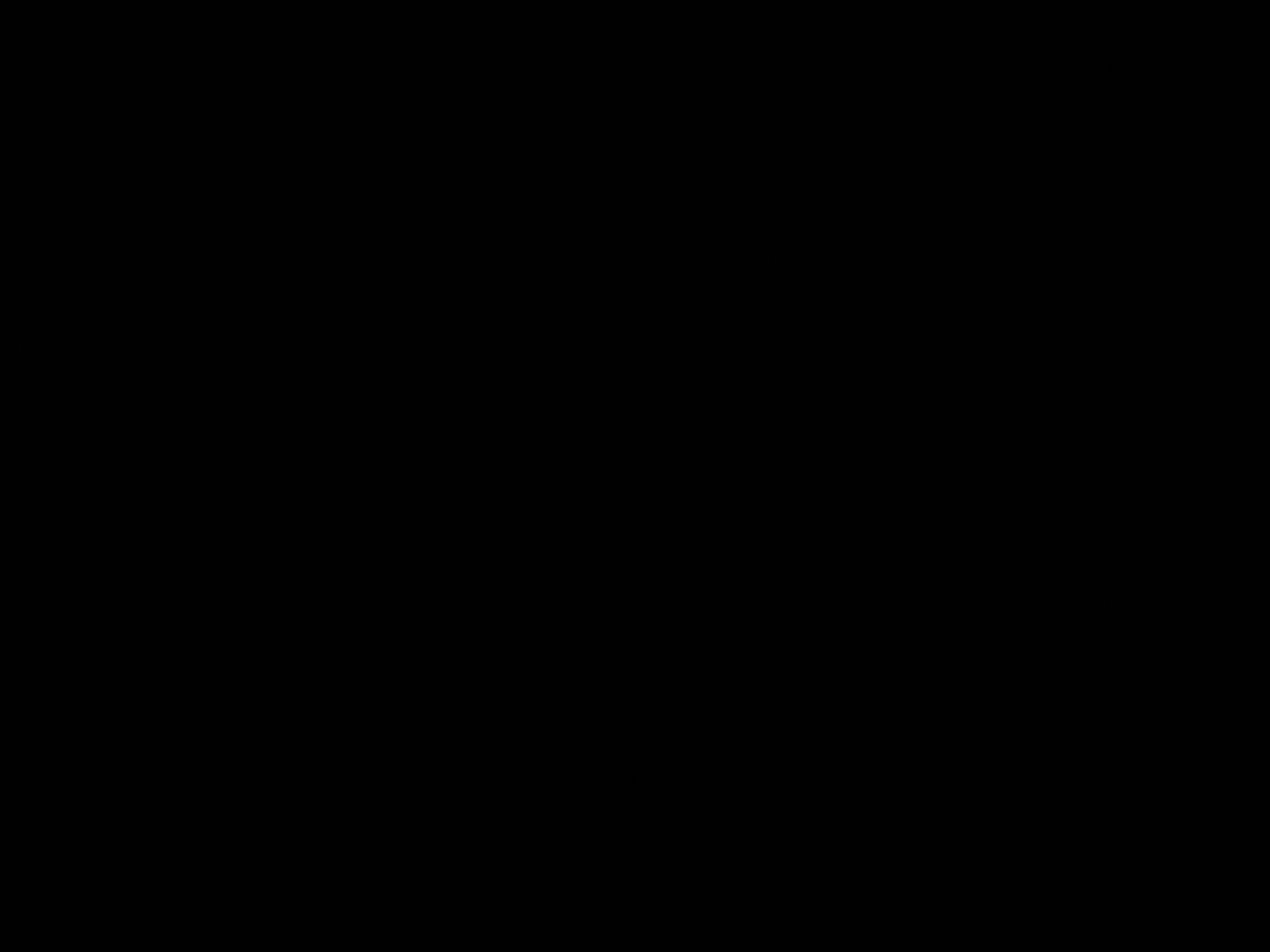 foto_2_1791082844