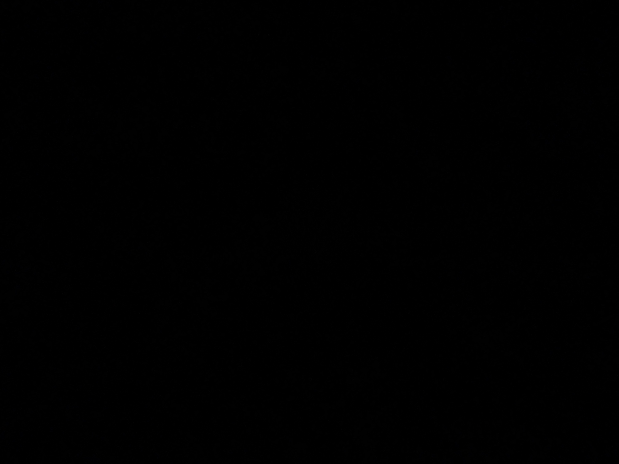 foto_2_1791234622