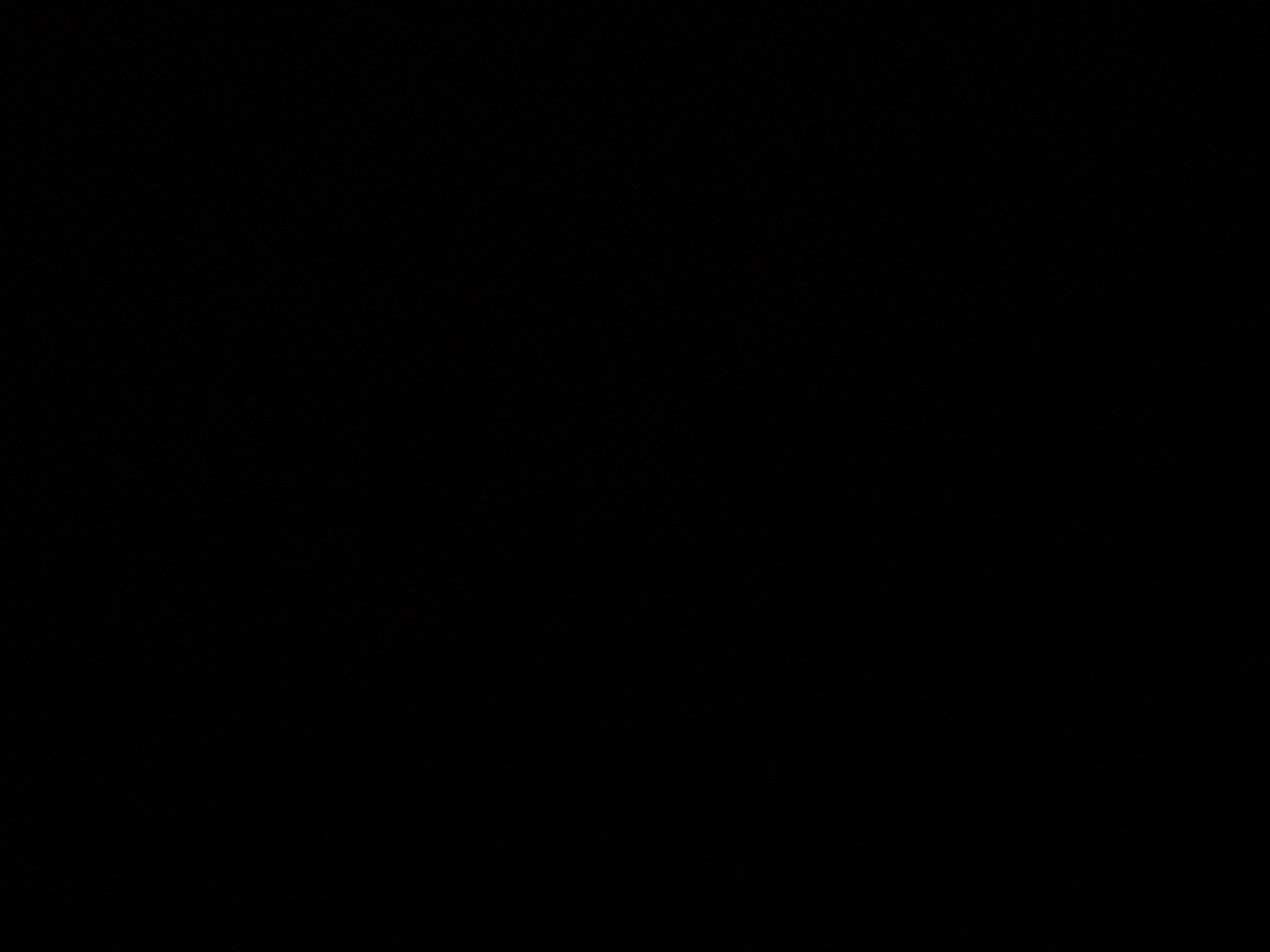 foto_3_1789411237
