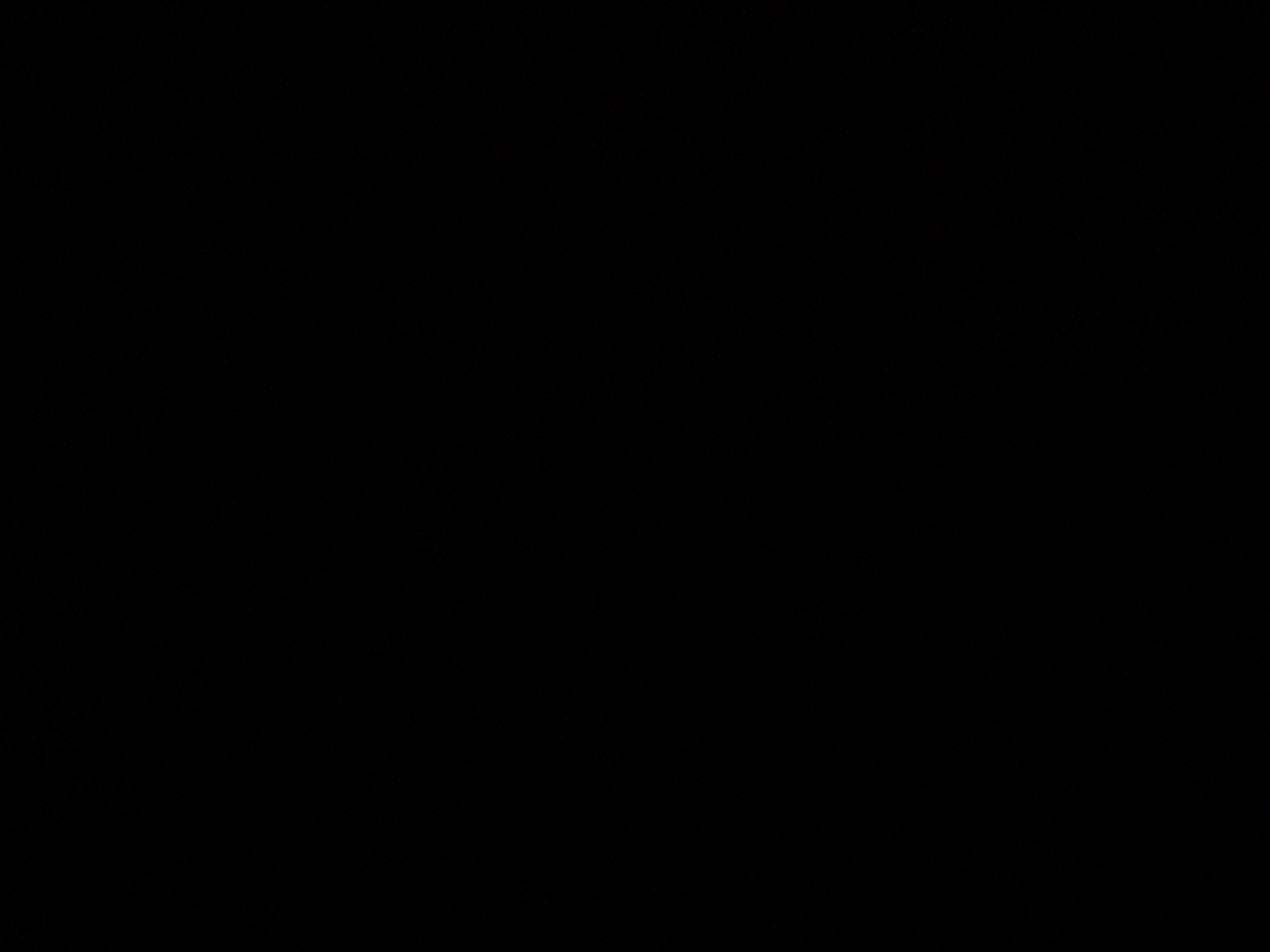 foto_3_1790018613
