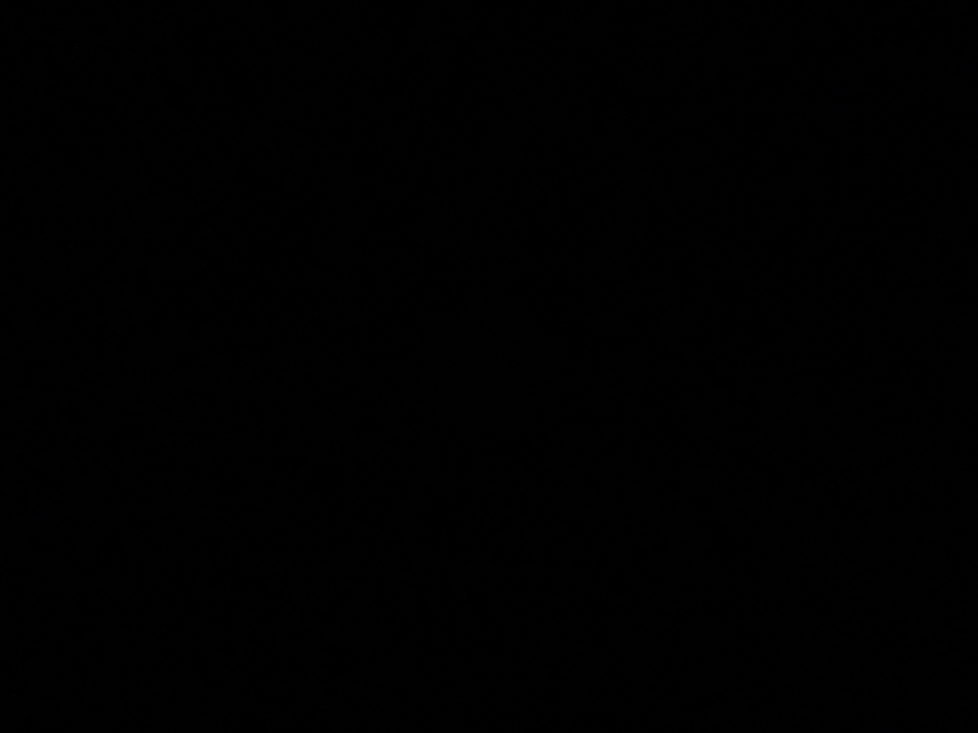 foto_3_1790019153