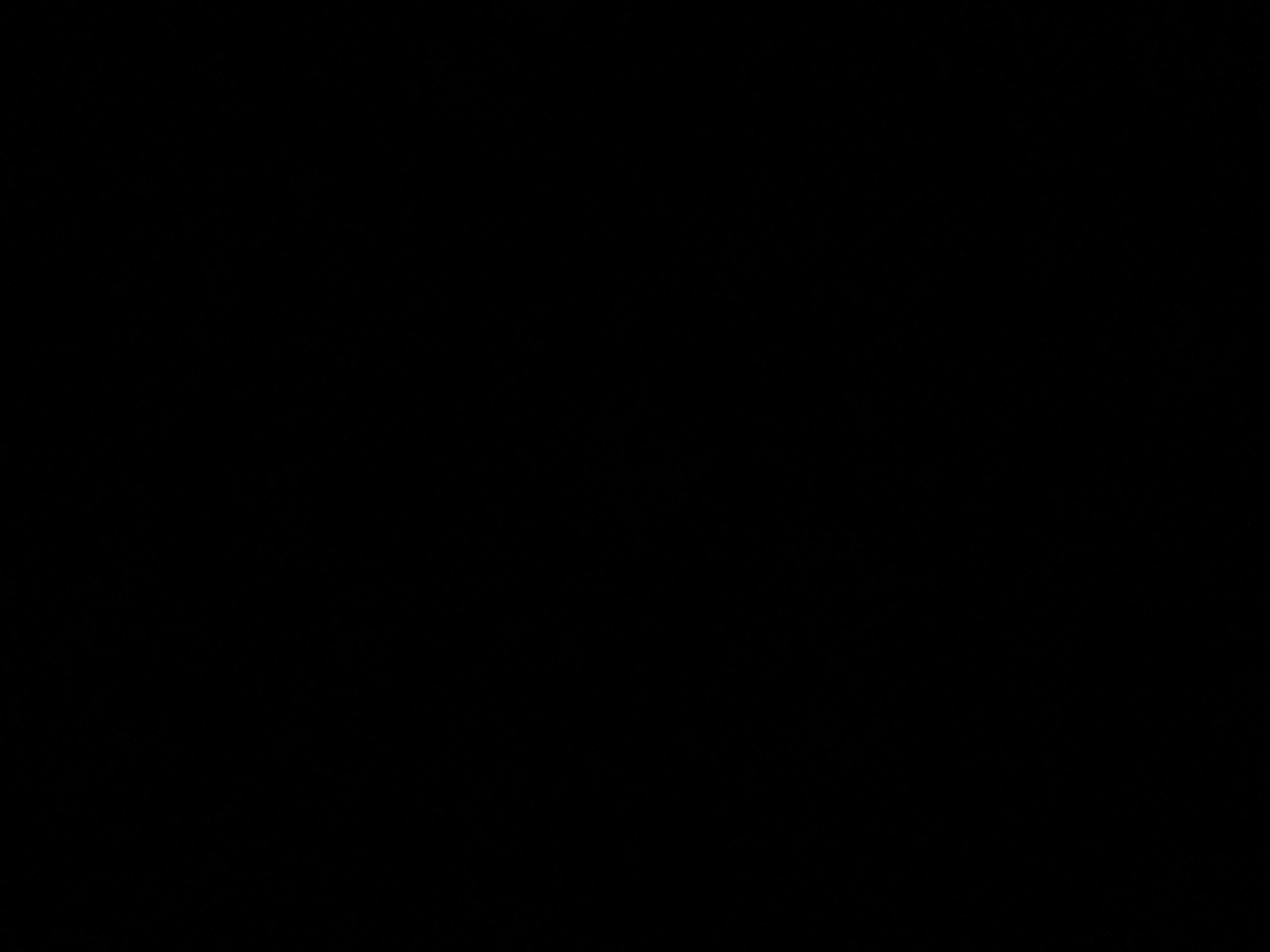 foto_3_1790045571