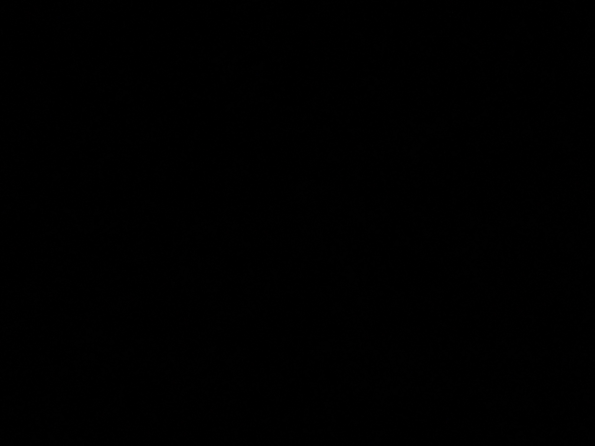 foto_3_1790319866
