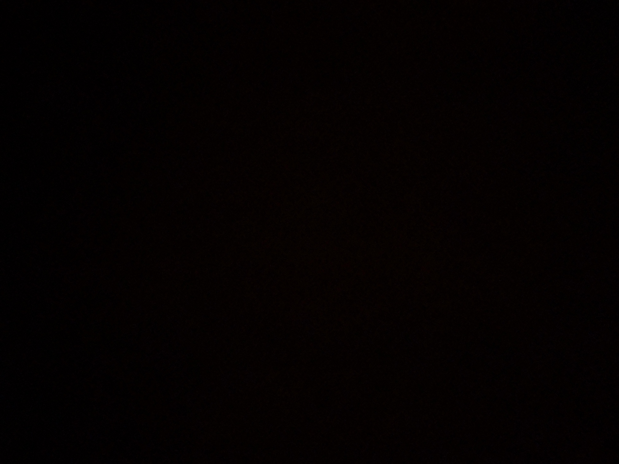foto_3_1790362364