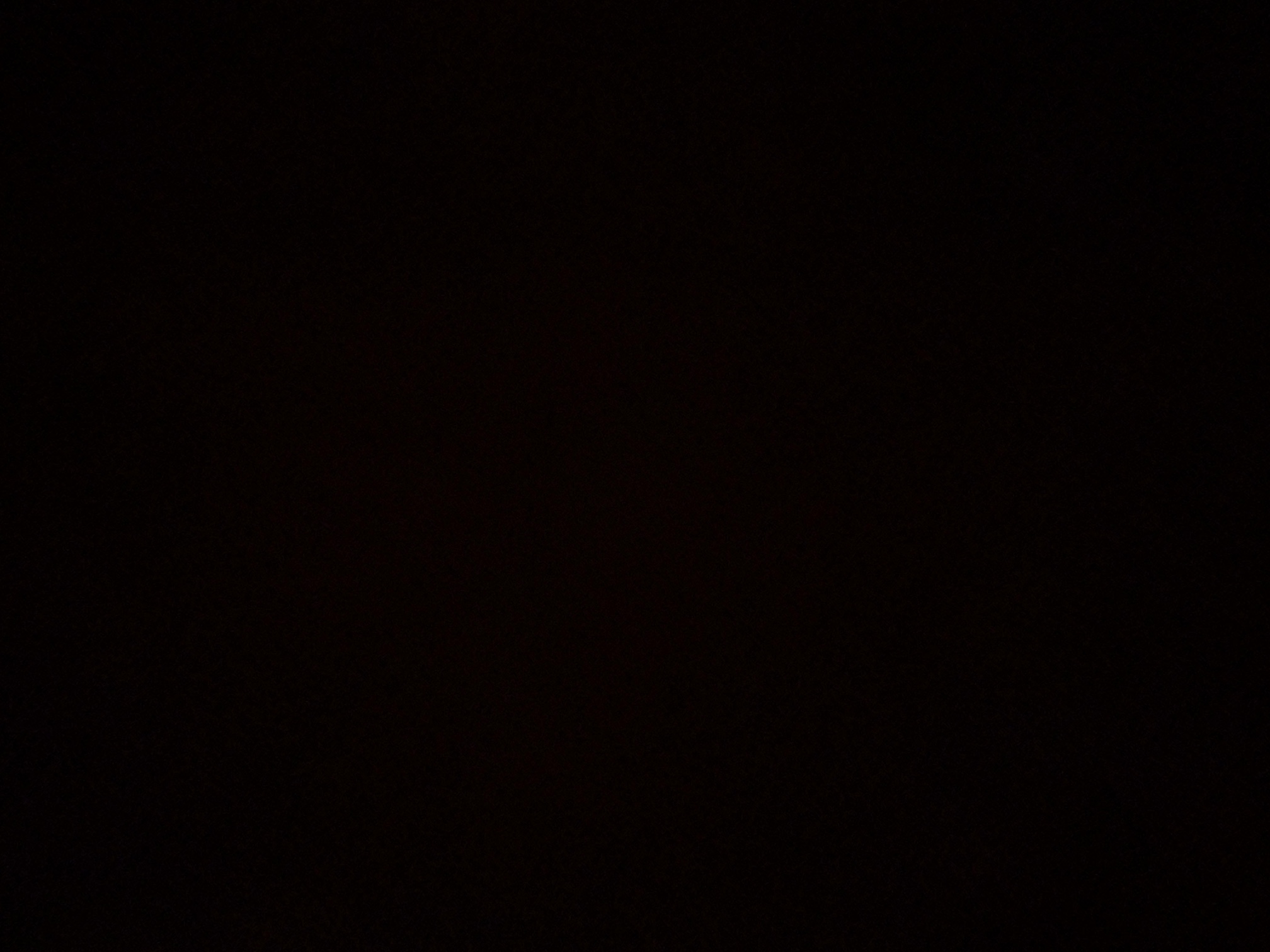 foto_3_1790363565