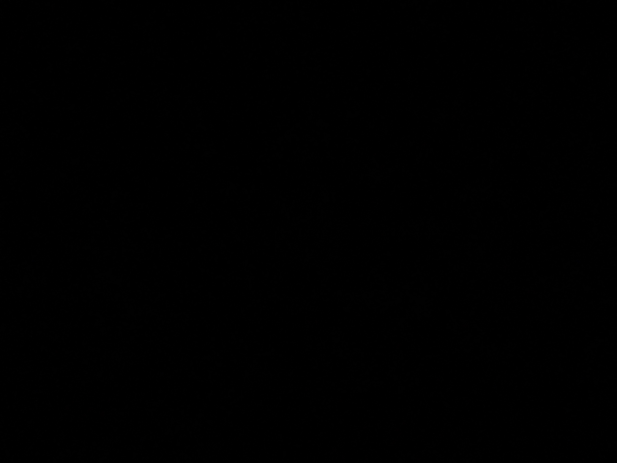 foto_3_1790371690