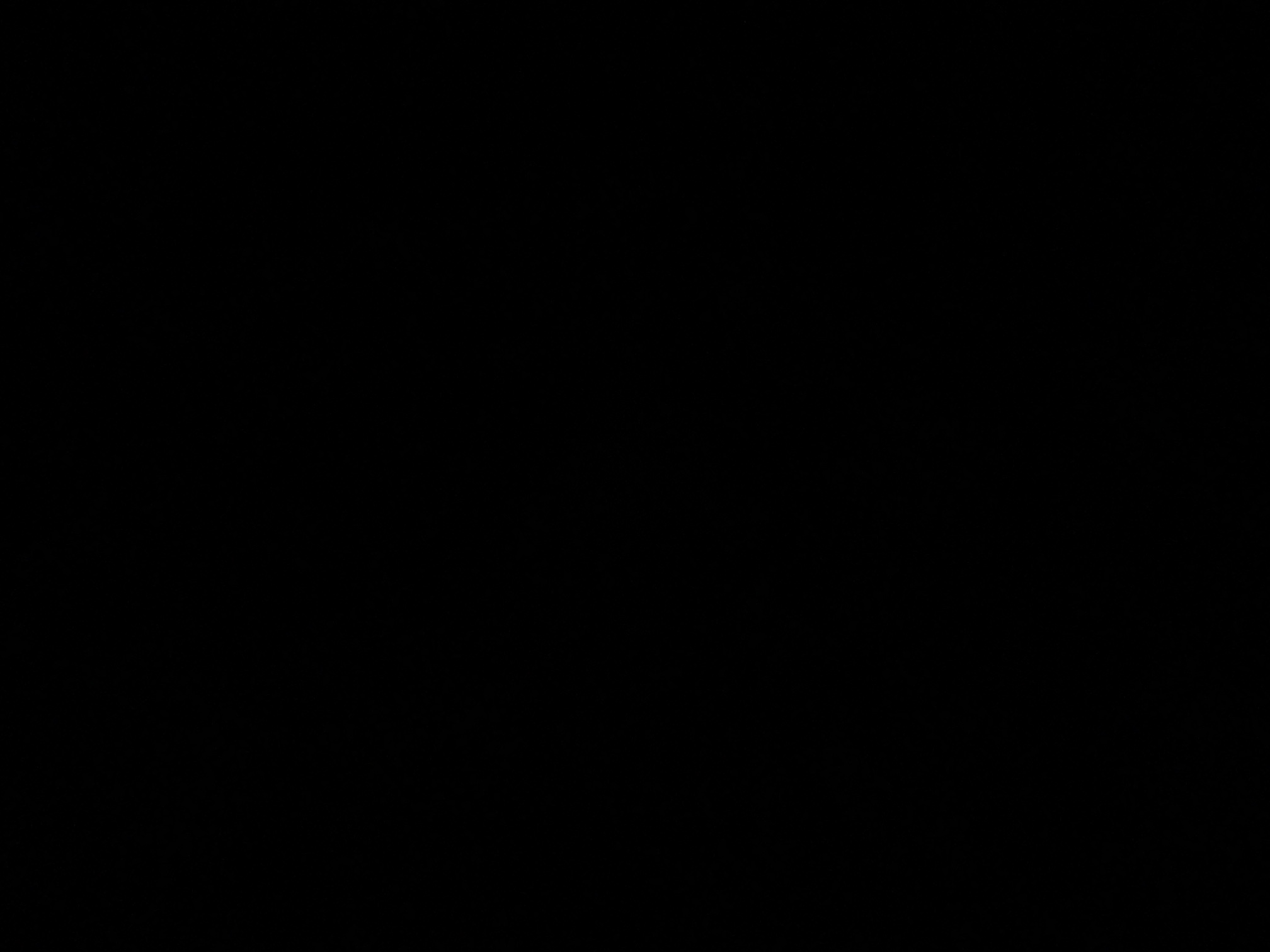 foto_3_1791082844