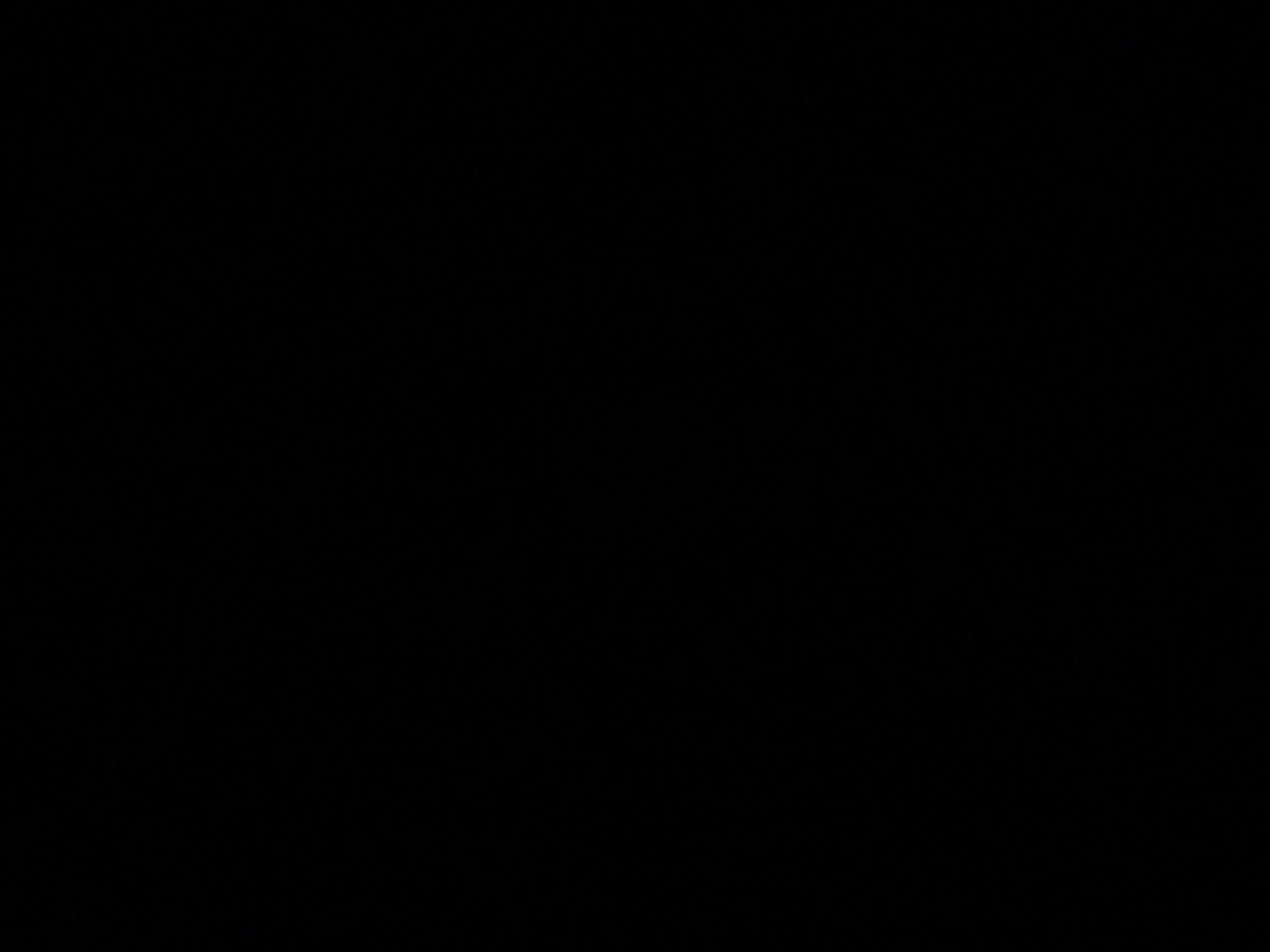 foto_3_1791234622